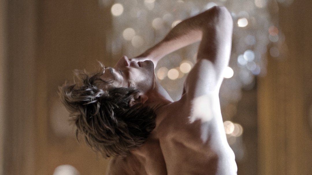 Friedemann Vogel: Incarnation of Dance