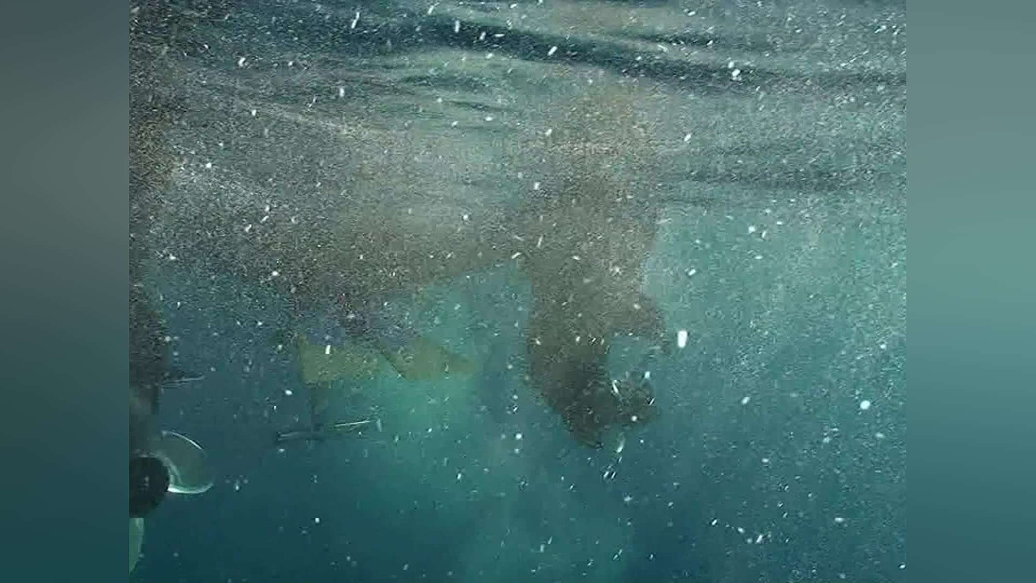 Manny Puig Underwater