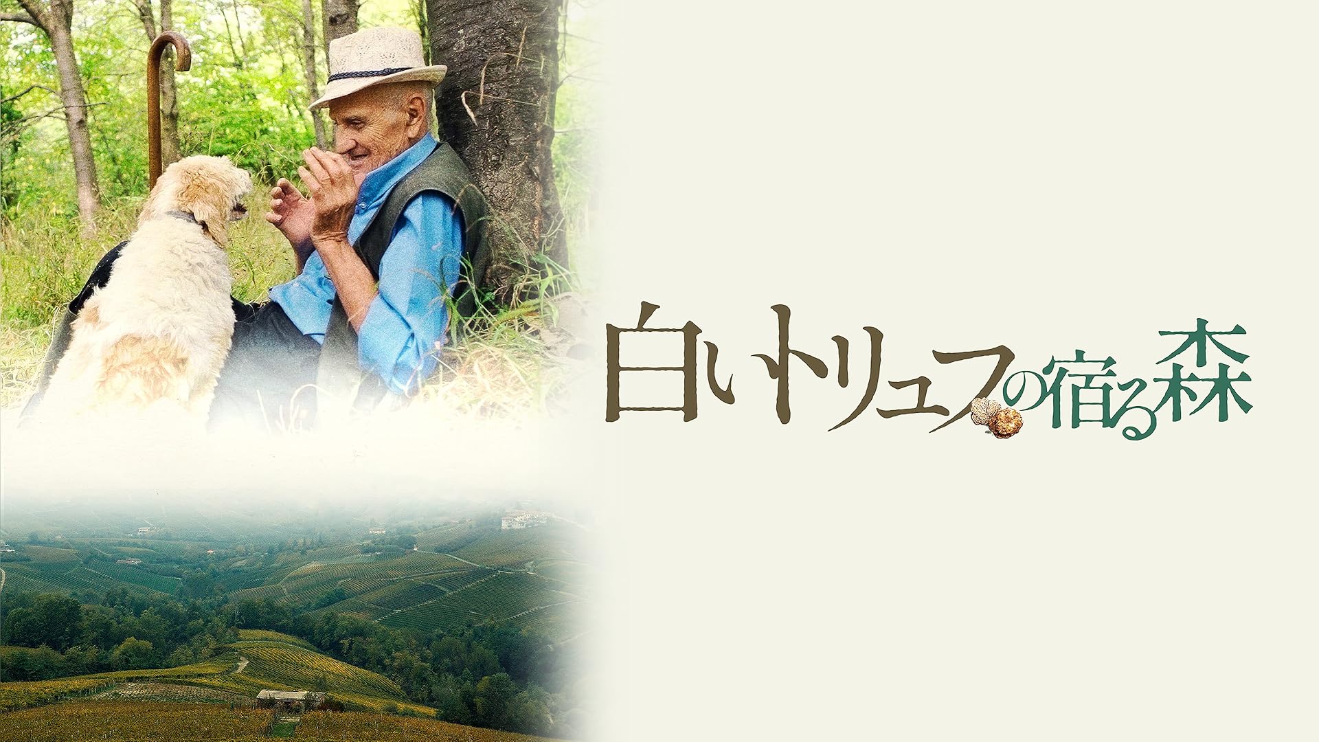 Amazon.co.jp: ジョン・ガリアーノ 世界一愚かな天才デザイナー