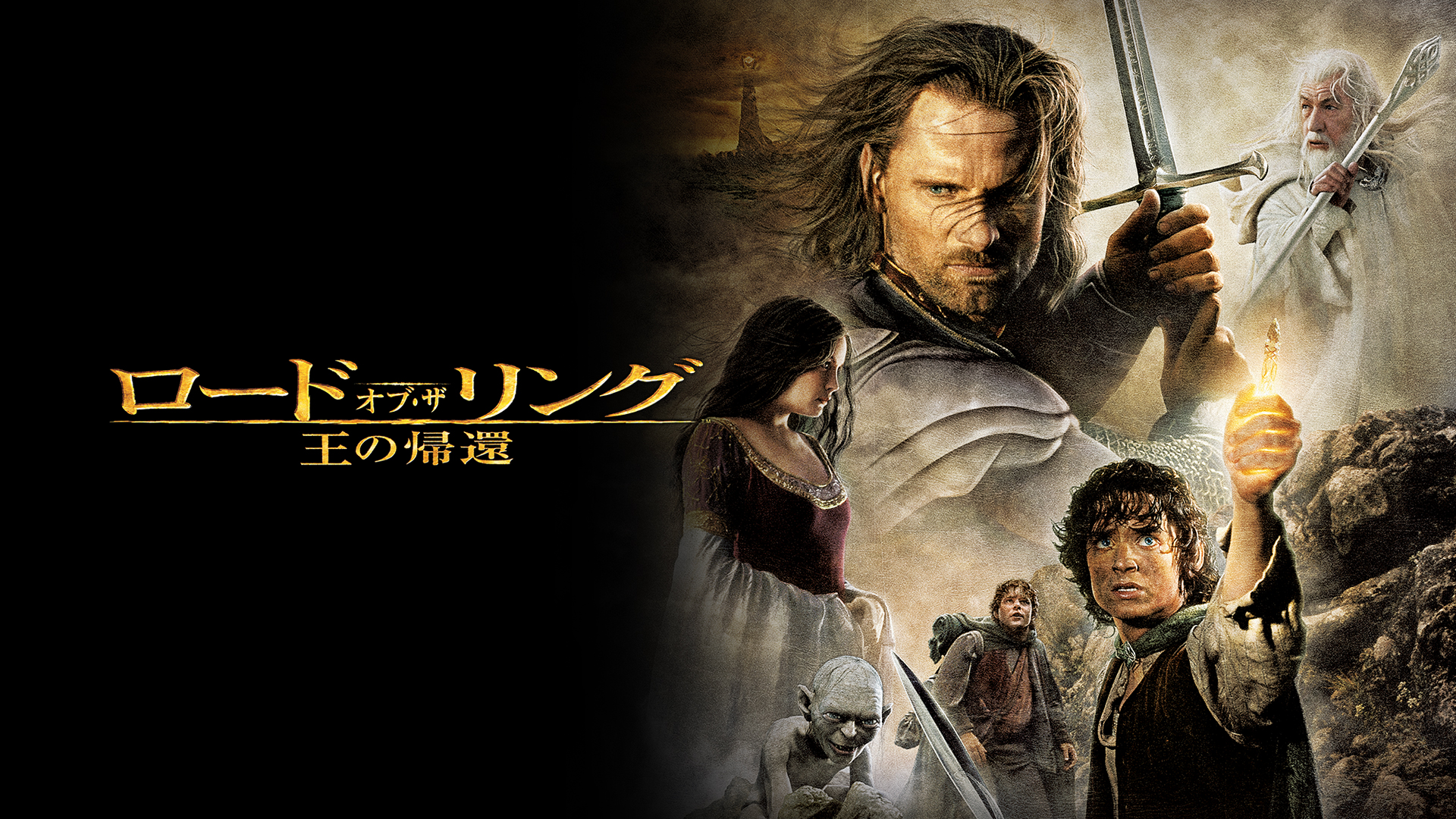 ロード・オブ・ザ・リングLord of The Rings trilogyDVD The Lord of the Rings: The Motion Picture Trilogy (DVD) : Target
