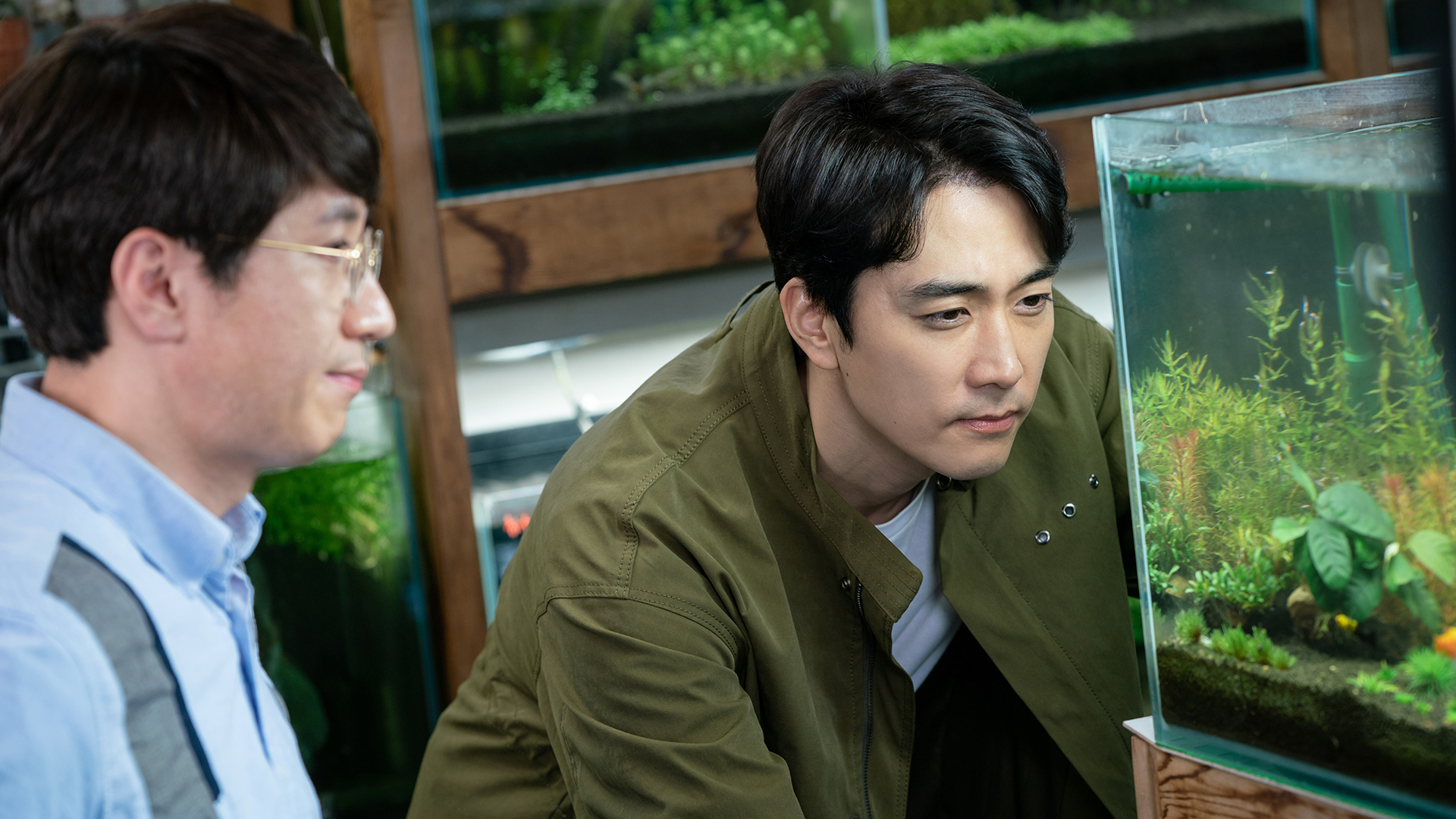 偉大なショー～恋も公約も守ります！～を観る | Prime Video