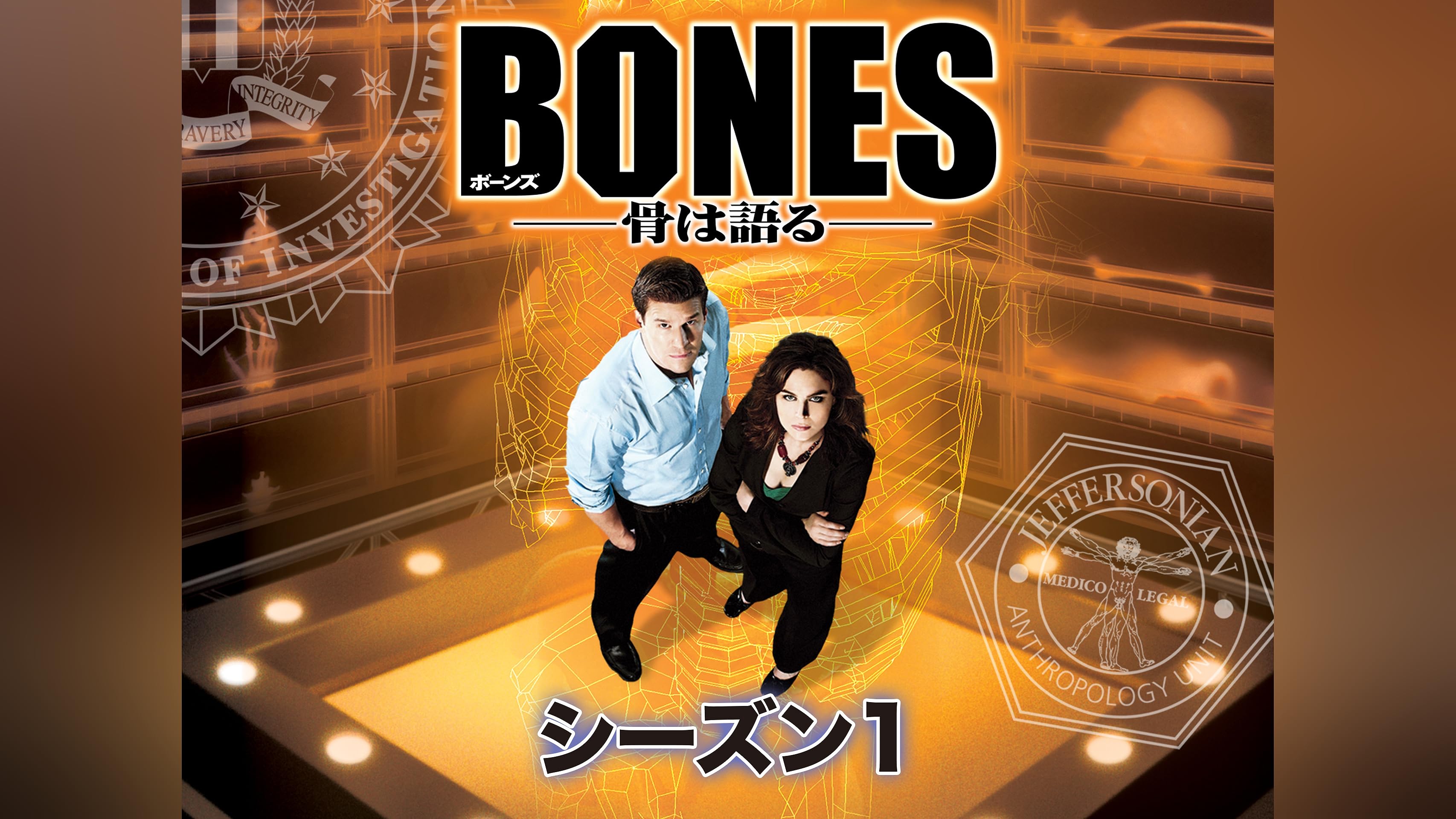 海外ドラマ　DVD　BONES ボーンズ 骨は語る　シーズン1～ファイナル　全巻 anland0524_183642