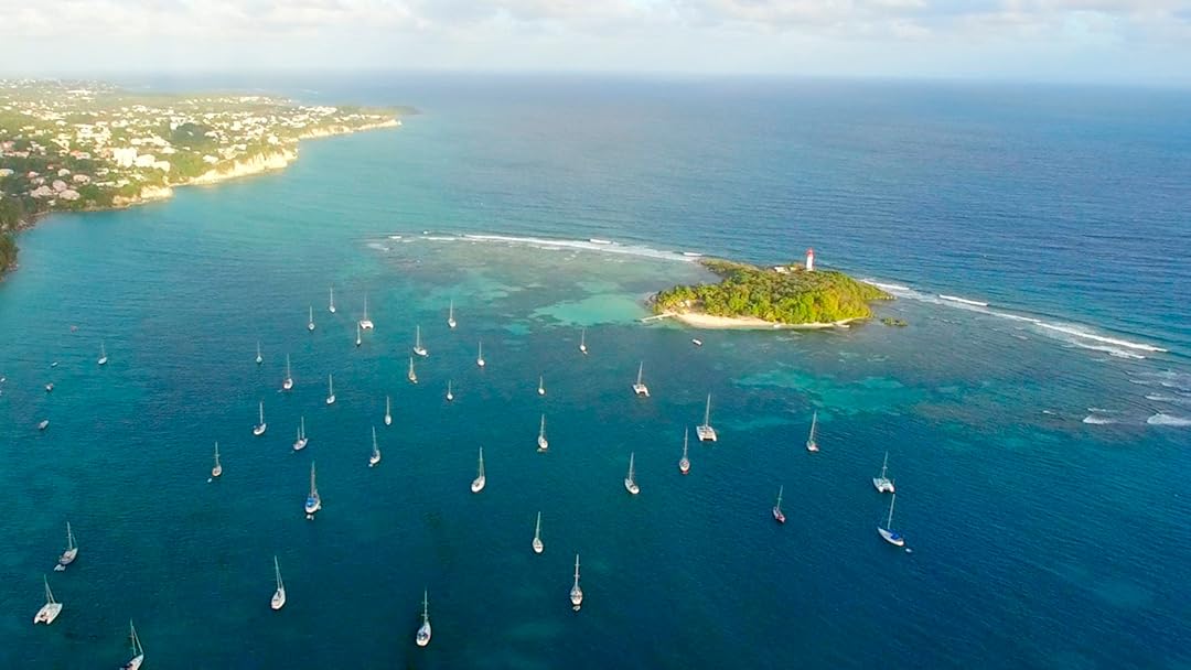 Golden Strokes of Guadeloupe