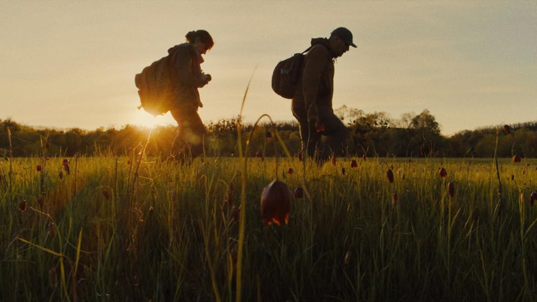 Porcelain War