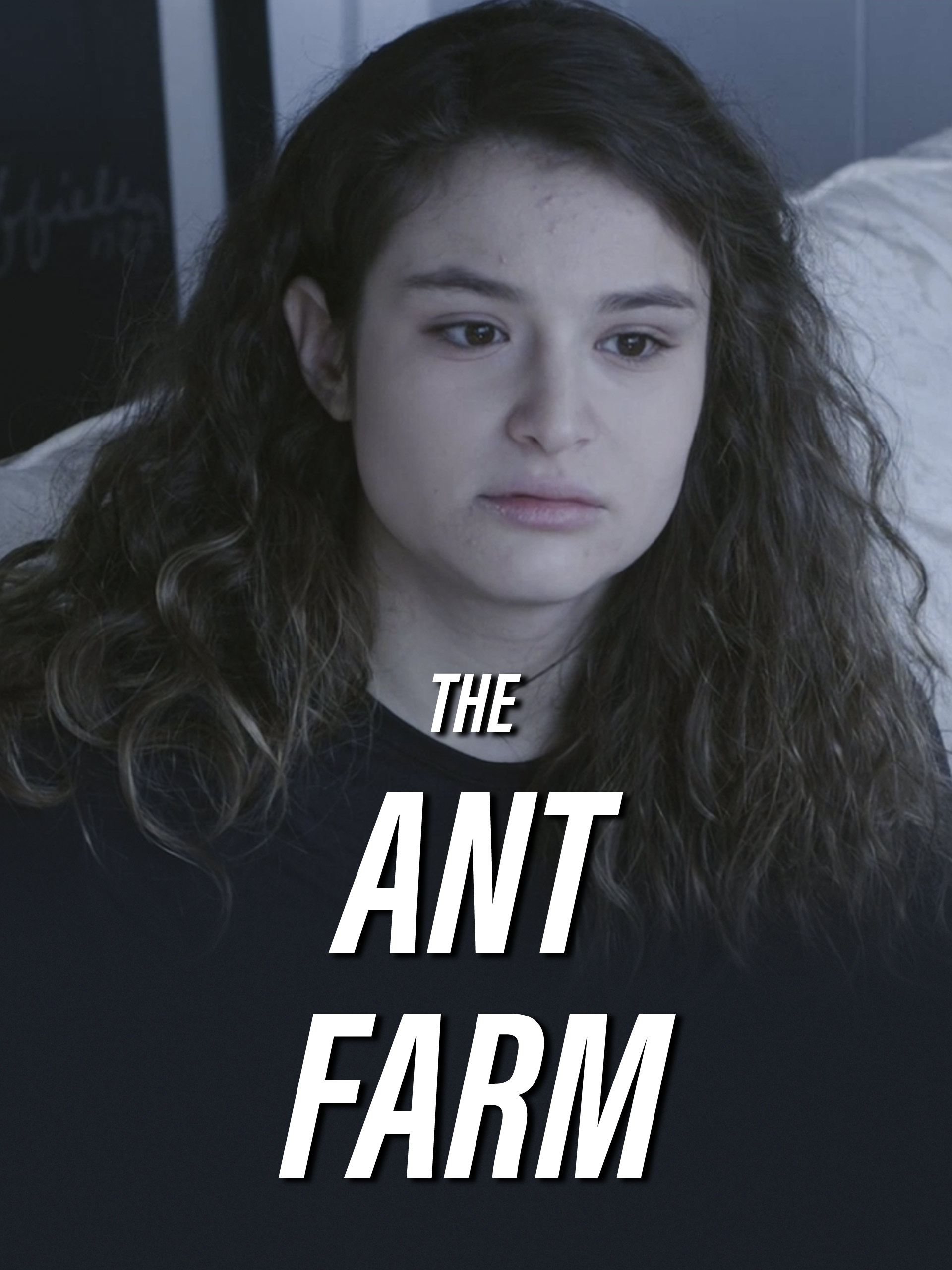 Prime Video The Ant Farm