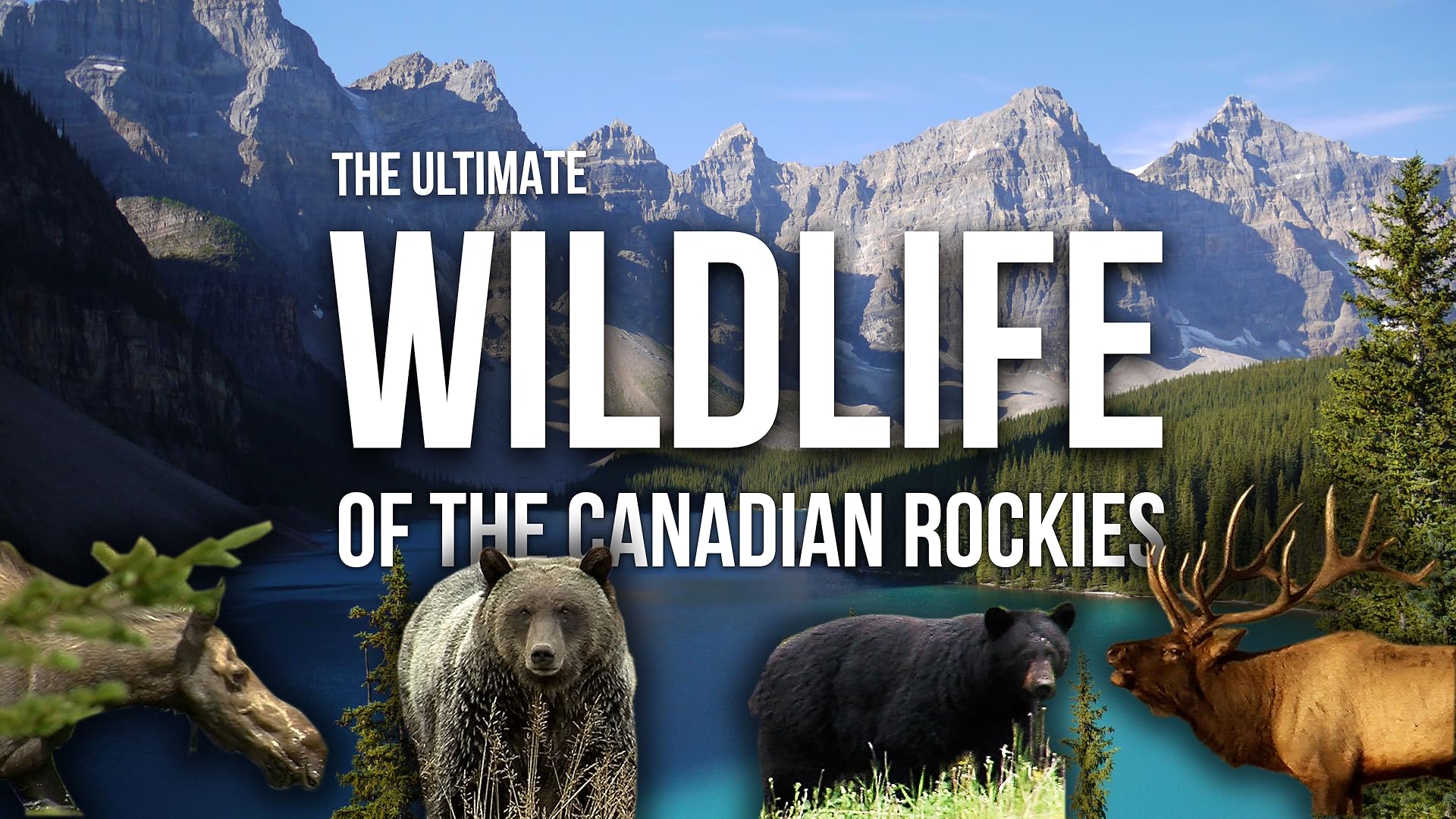 (未使用･未開封品)Adv in America&#39;s Western Parks: Canadian Rockies [DVD] Adv in America's Western Parks: Canadian Rockies [DVD]