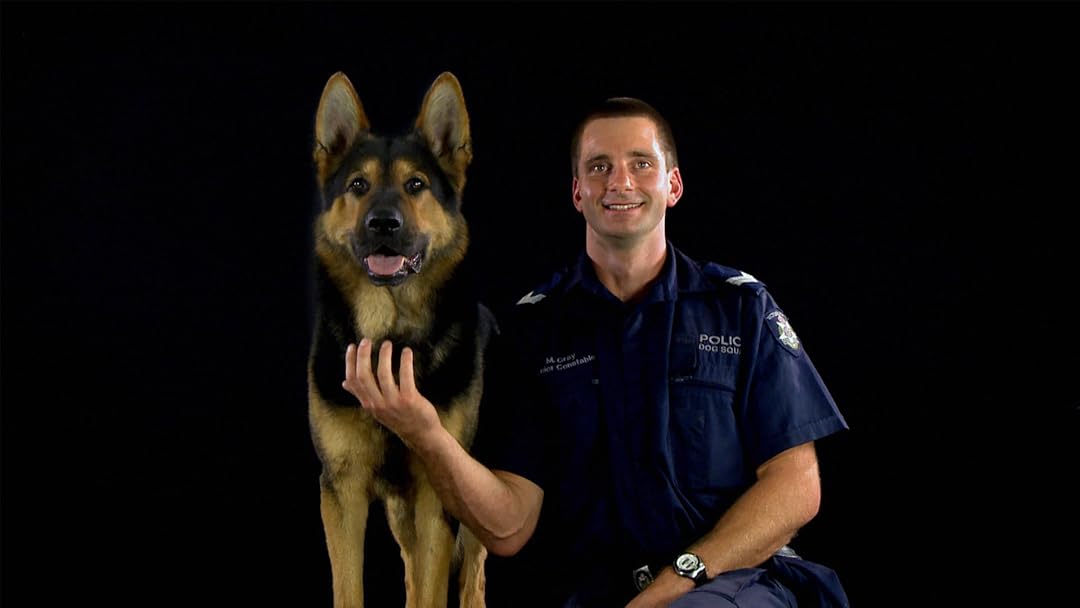 Send In The Dogs Australia