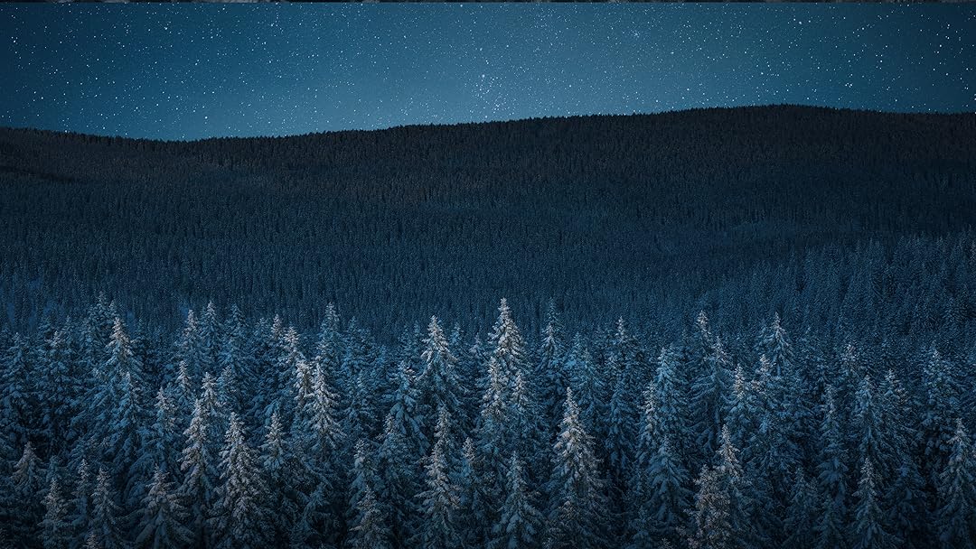 Dead North