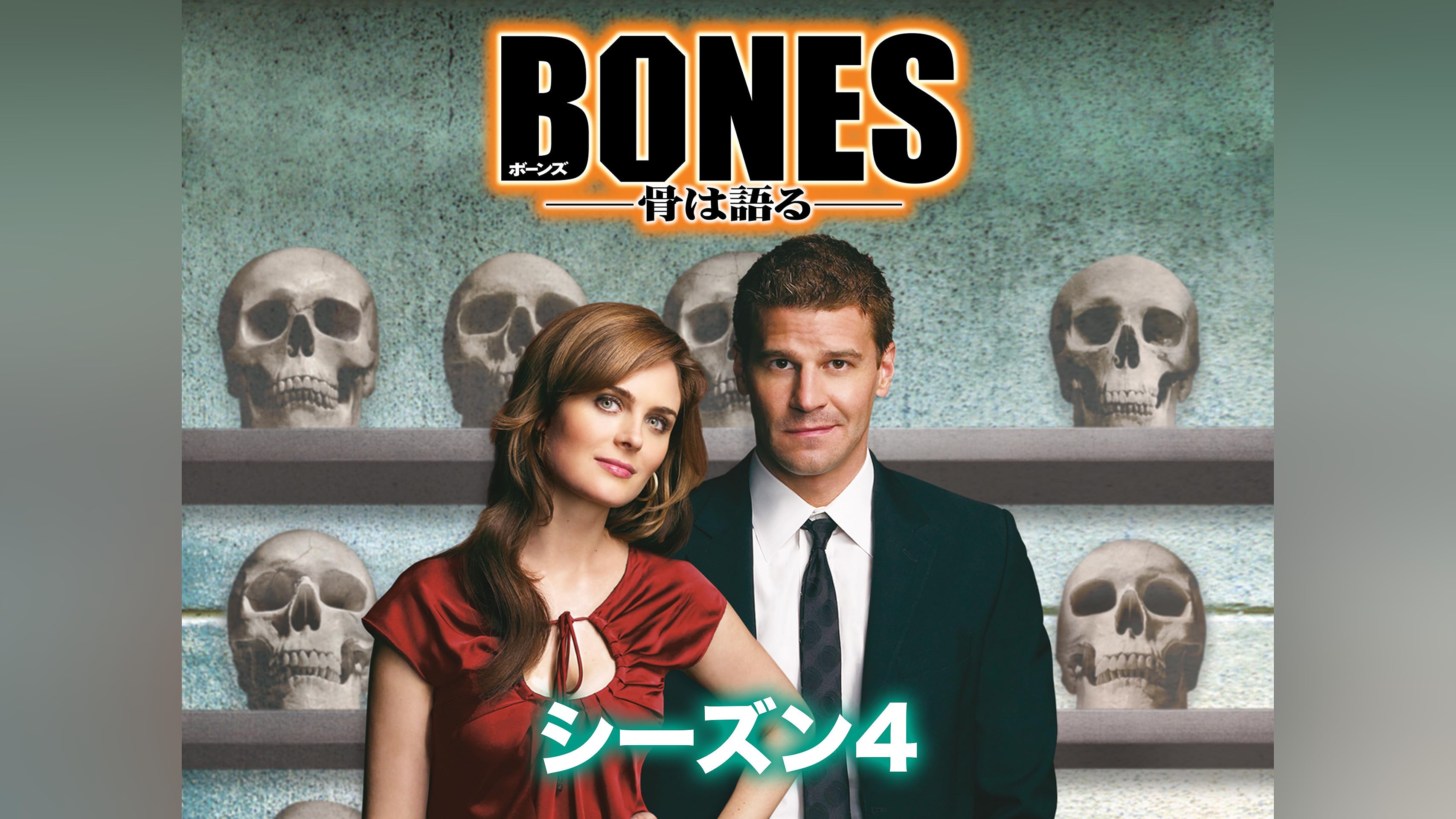 BONES ―骨は語る― シーズン 4 (吹替版)を観る | Prime Video