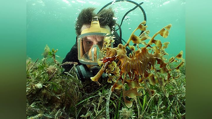 (未使用･未開封品)Weird Creatures With Nick Baker Series 2 [DVD] Prime Video: Nick Baker's Weird Creatures