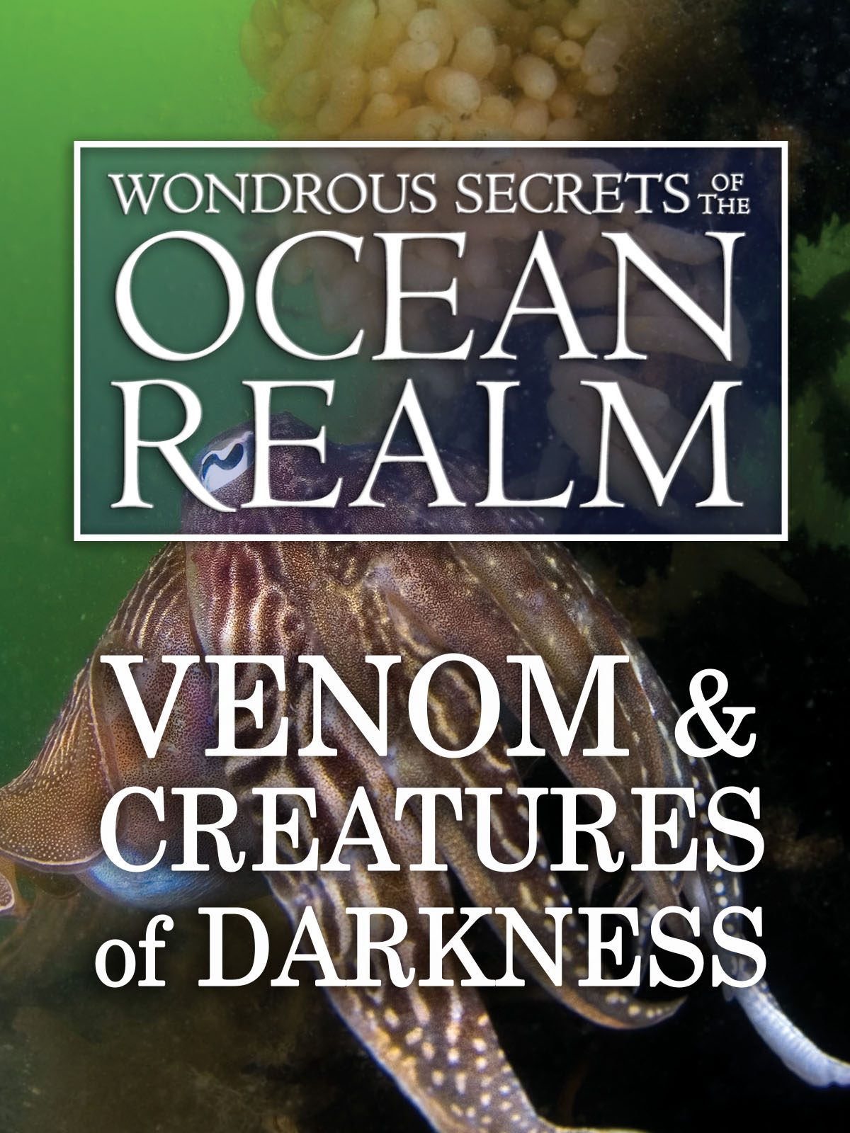 (未使用･未開封品)Wondrous Secrets of the Ocean Realm [DVD] Amazon.com: Wondrous Secrets of the Ocean Realm [DVD