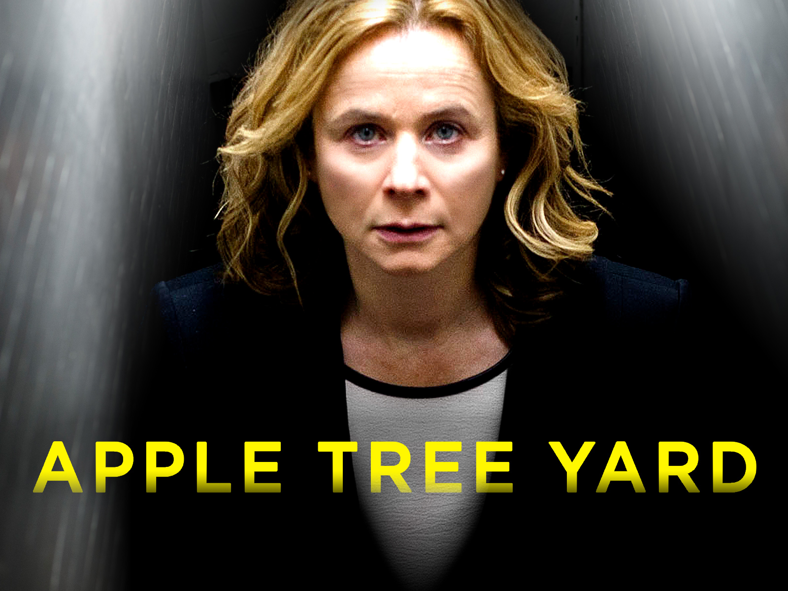 Prime Video Apple Tree Yard, Season 1