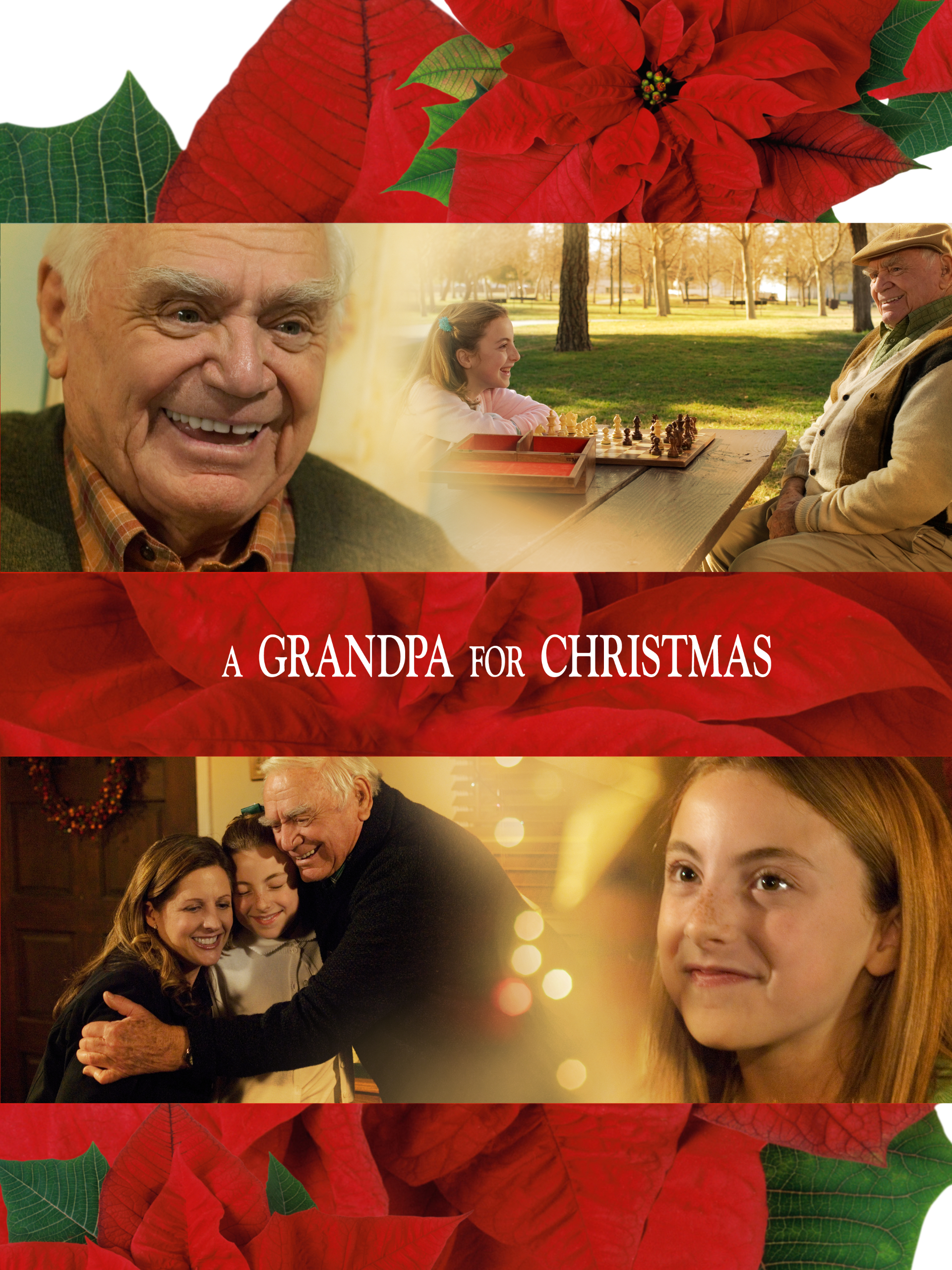 (未使用･未開封品)Grandpa for Christmas [DVD] A Grandpa For Christmas (DVD, 2008) for sale online | eBay
