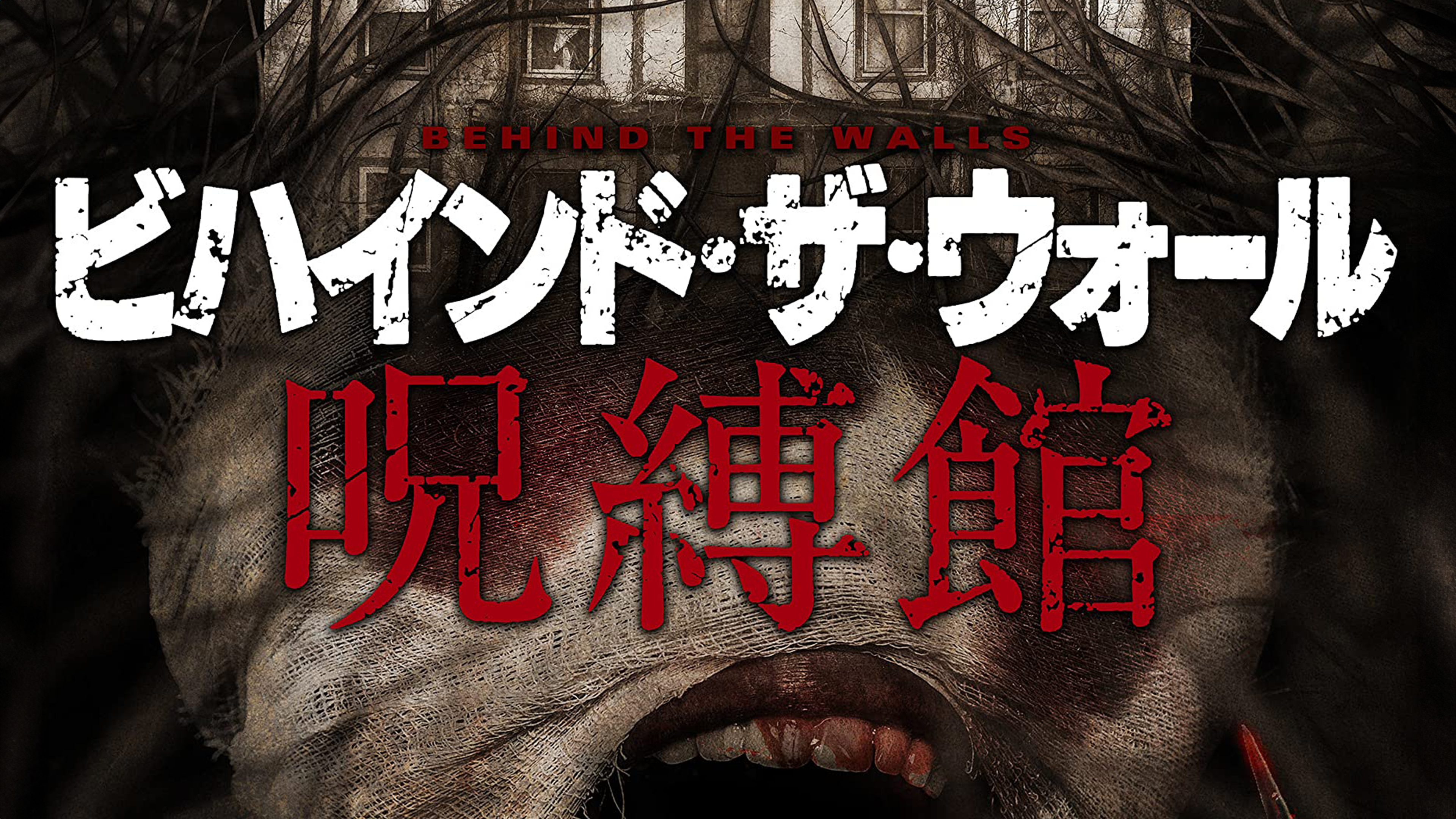 The Blind Video(ザ・ブラインド・ビデオ)：未開封DVD The Blind Video(ザ・ブラインド・ビデオ)：未開封DVD The Blind