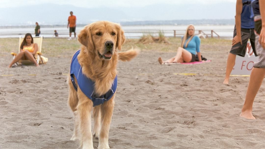 Air Bud: Spikes Back