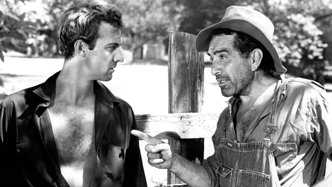 L'homme du sud