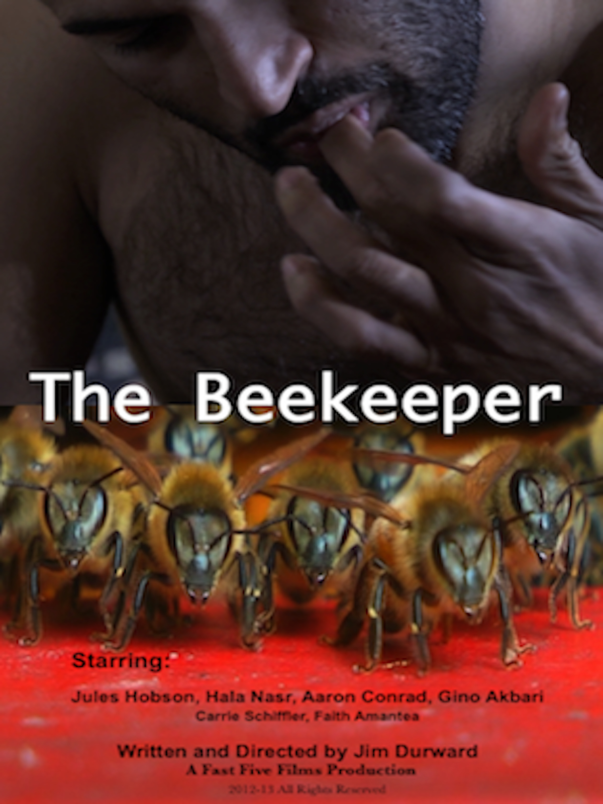 Prime Video The Beekeeper
