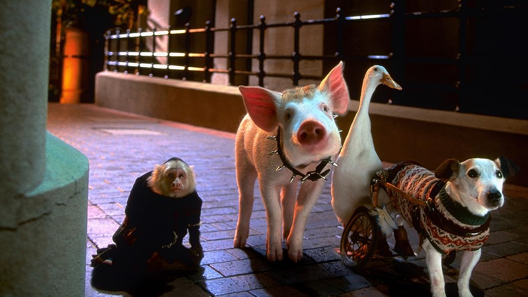 Babe: Pig in the City