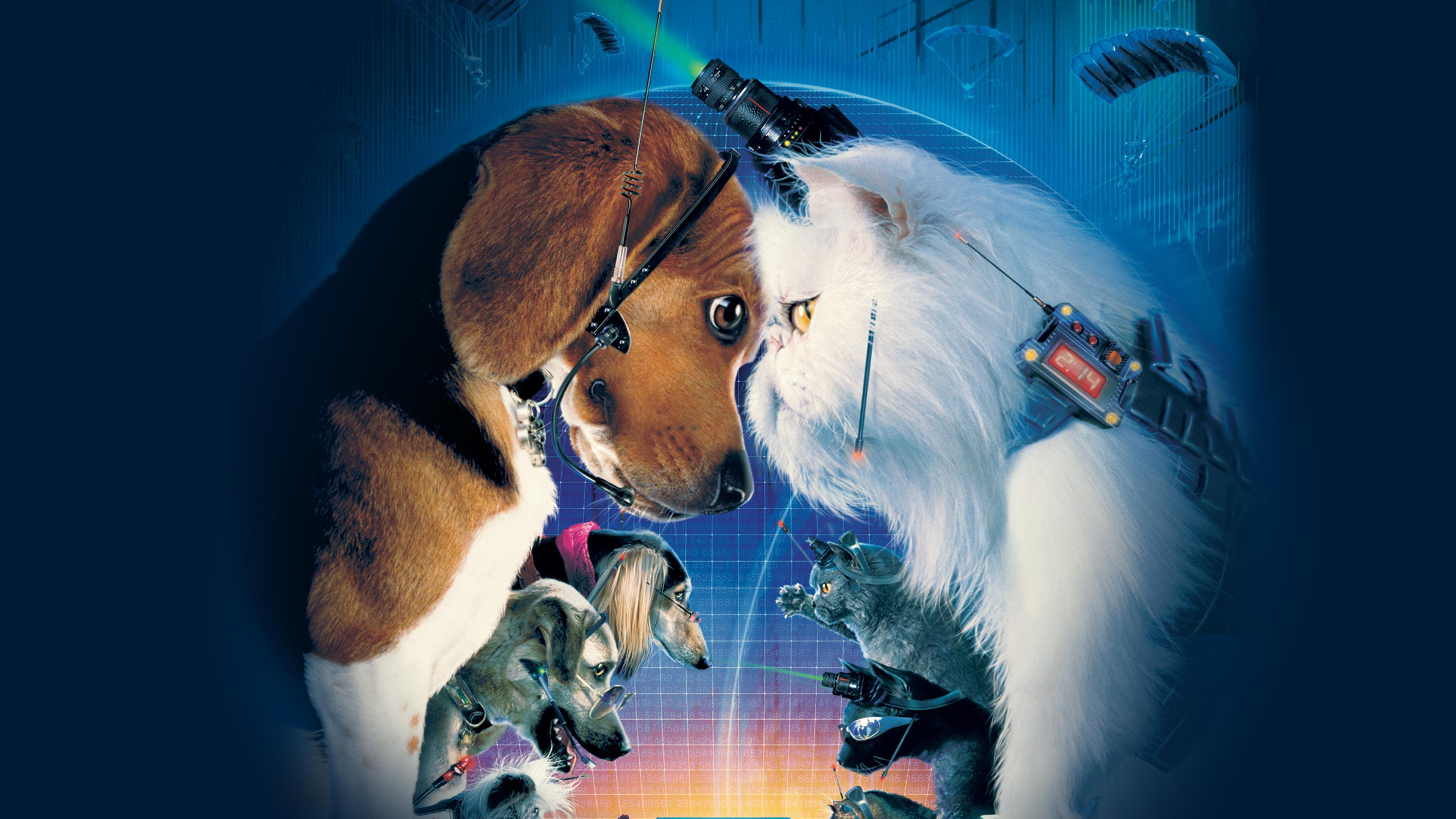 キャッツ&ドッグス　VHS　字幕版 キャッツ&ドッグス 字幕スーパー版 VHS Amazon.com: Cats & Dogs