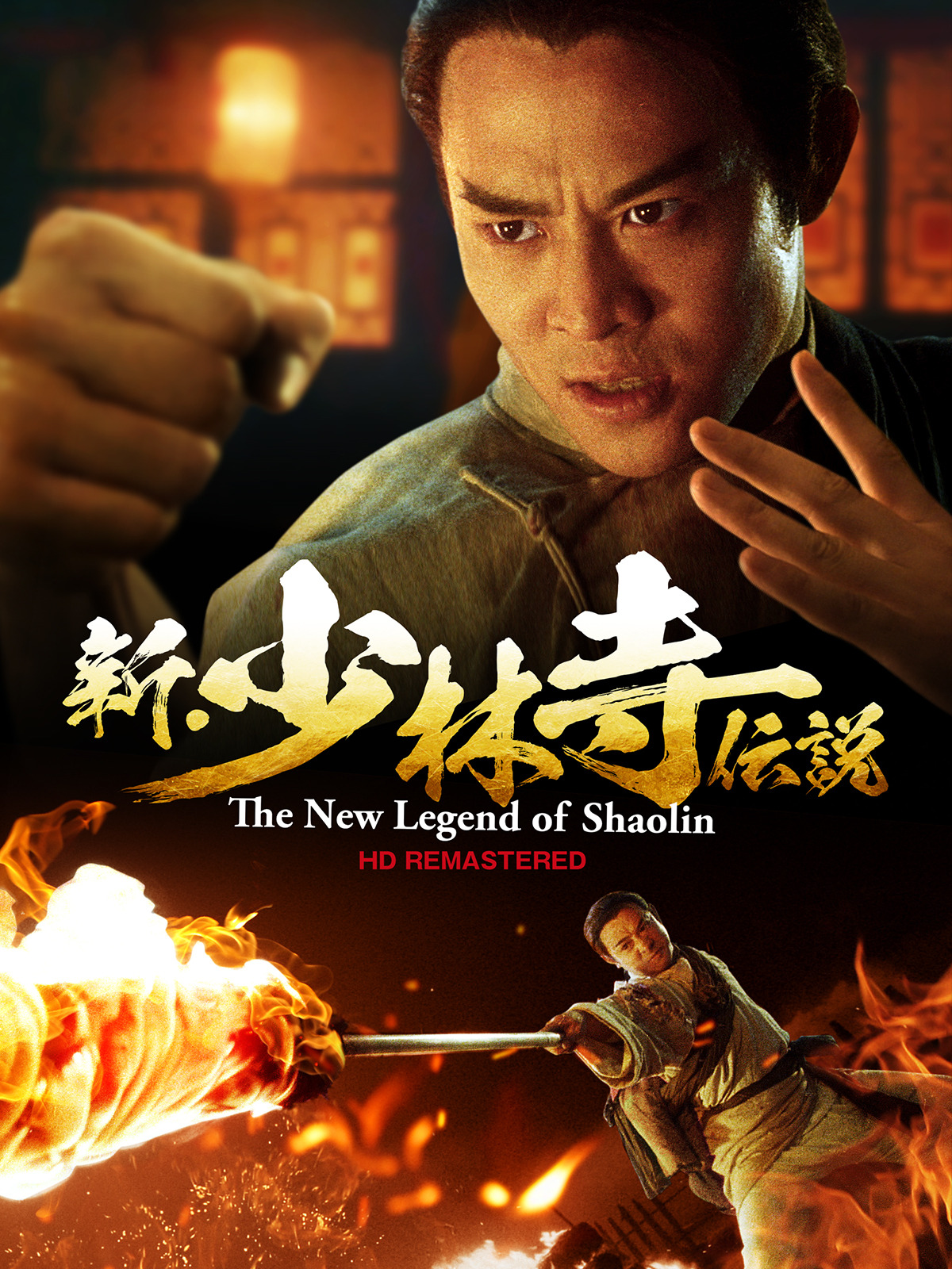 少林寺秘伝 TV放送／少林寺映画】邪拳迫る! 死守せよ少林寺秘伝