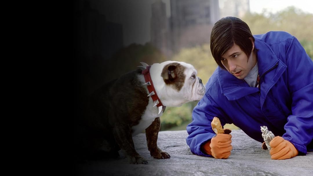 Little Nicky