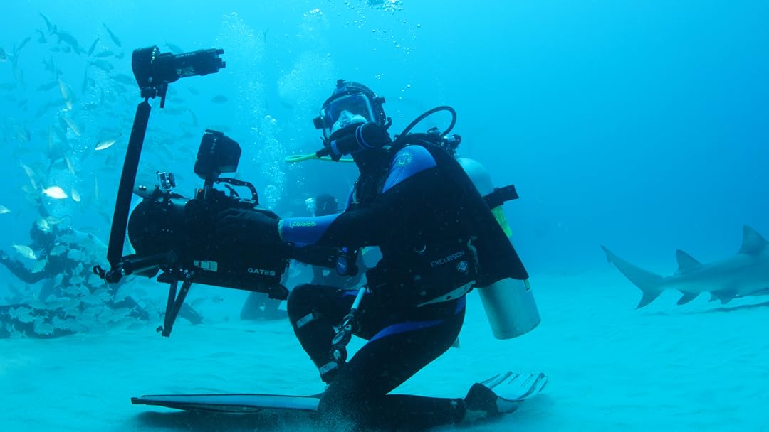 Sharkwater Extinction