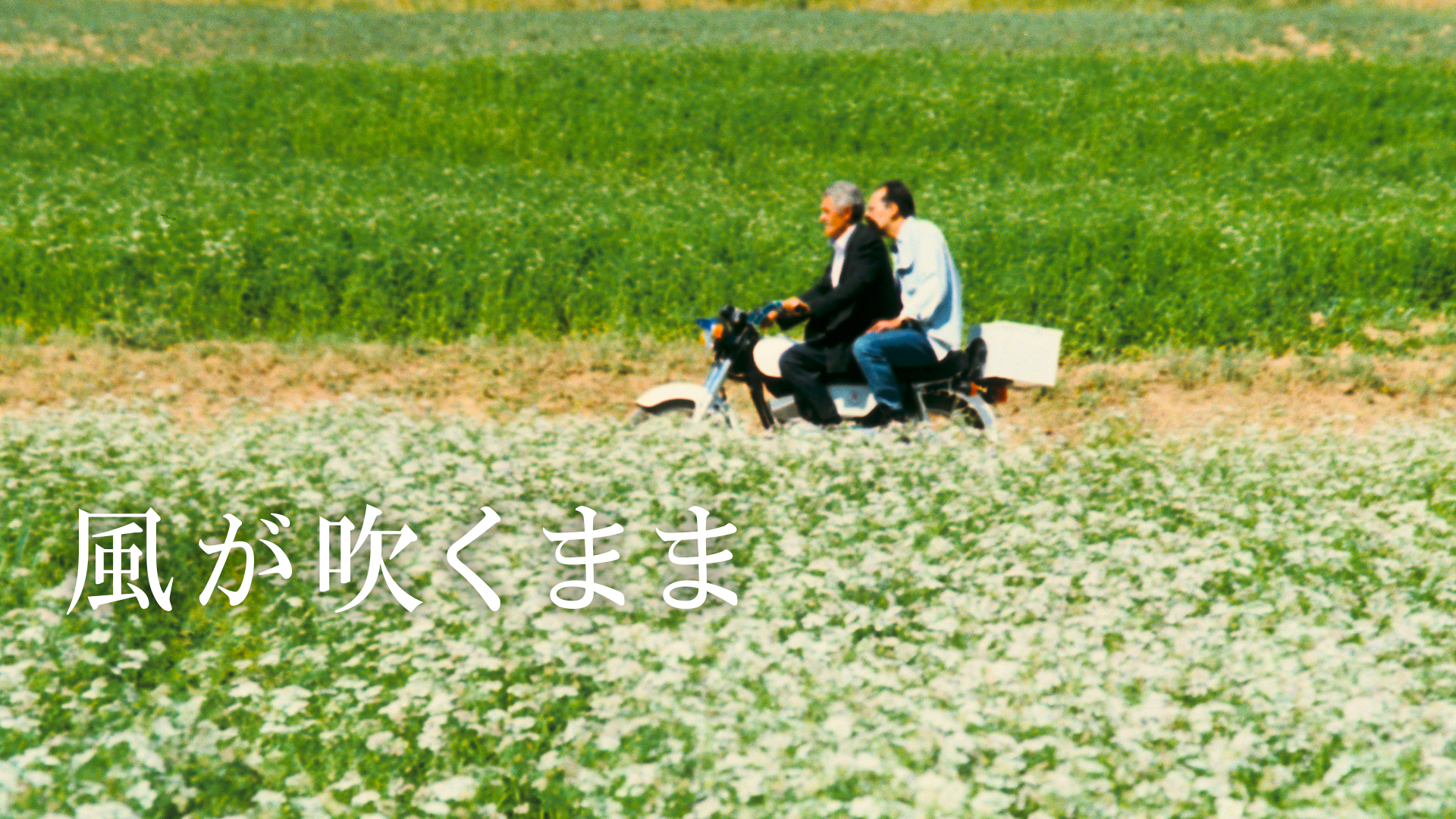 Amazon.co.jp: ハーブアンドドロシー ふたりからの贈りもの(字幕