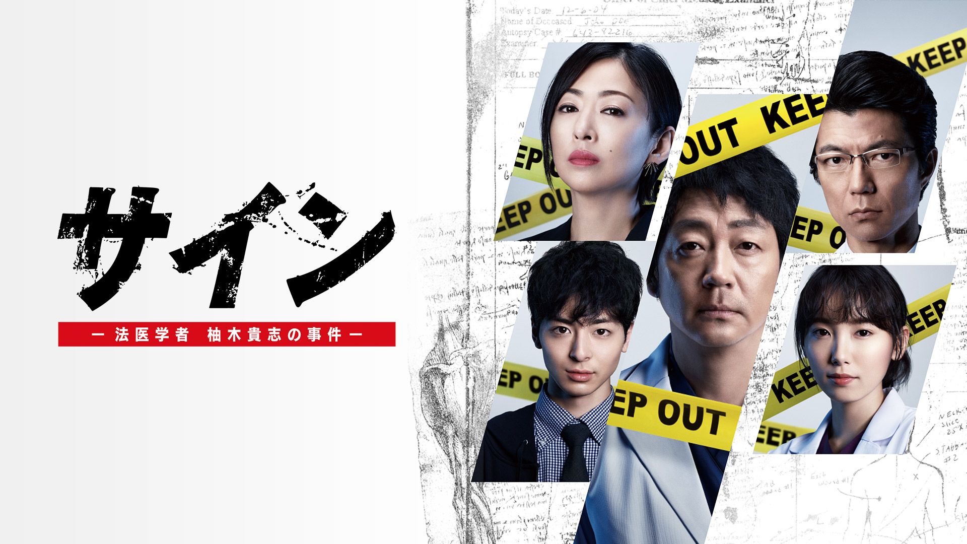 Amazon.co.jp: 妄想捜査～桑潟幸一准教授のスタイリッシュな生活を観る