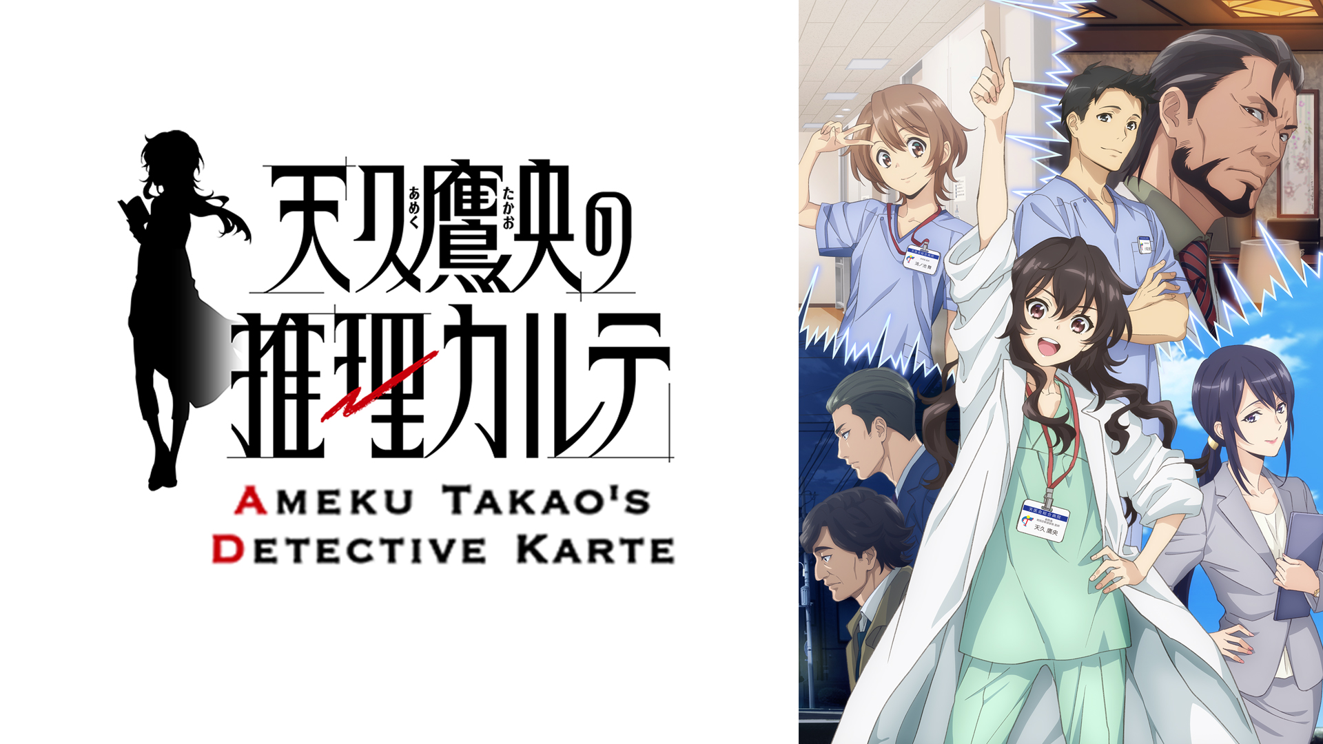 【アニメ•ドラマ化作品】小説「天久鷹央の推理カルテ」16冊セット 楽天市場】【特典付き】【ノベル】天久鷹央の推理カルテシリーズ