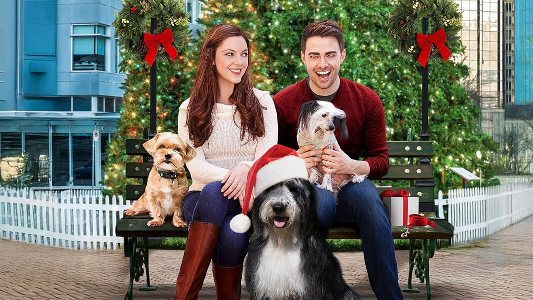 A Dogwalkers Christmas Tale