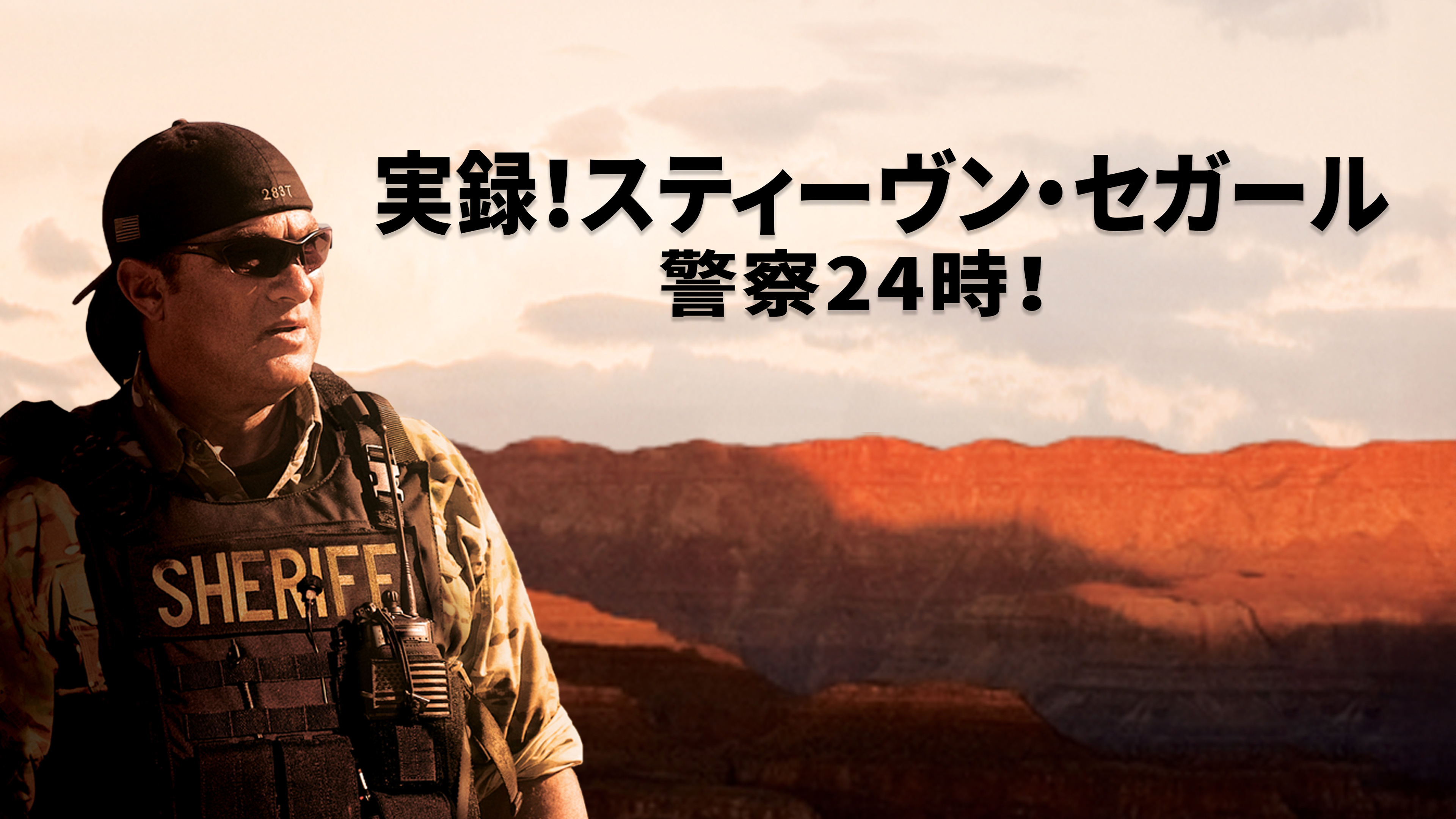 【未開封新品】実録！警察24時！スティーヴン・セガール Amazon.co.jp: 実録!スティーヴン・セガール警察24時! DVD-SET