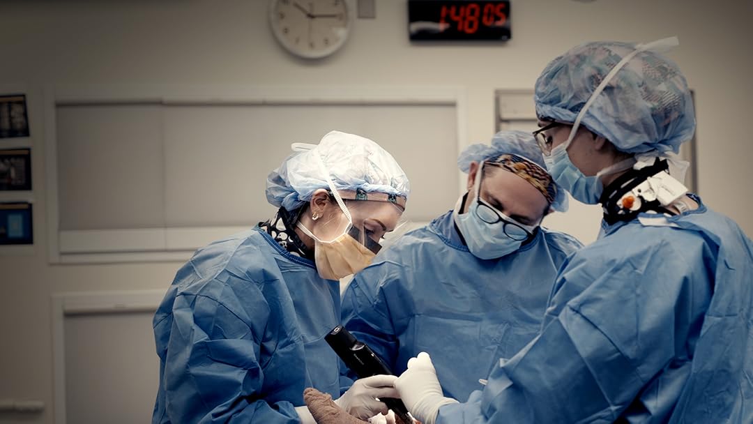 On the Shoulders of Giants: The History of NYU Langone Orthopedics