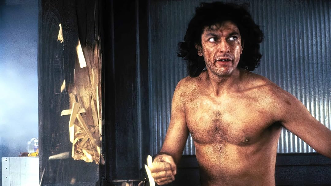 The Fly