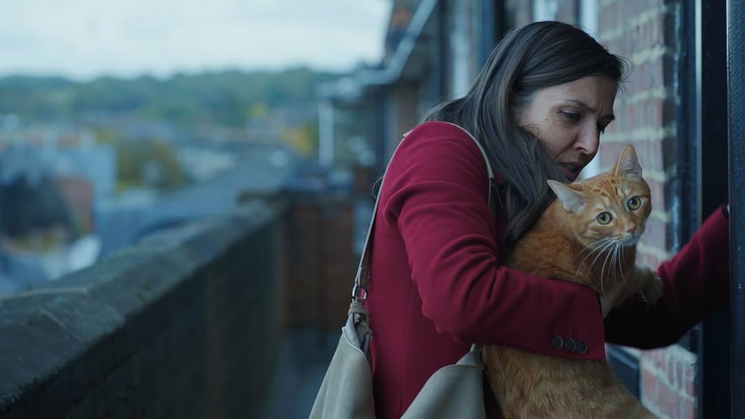 Cat in the wall - Un gatto nel muro