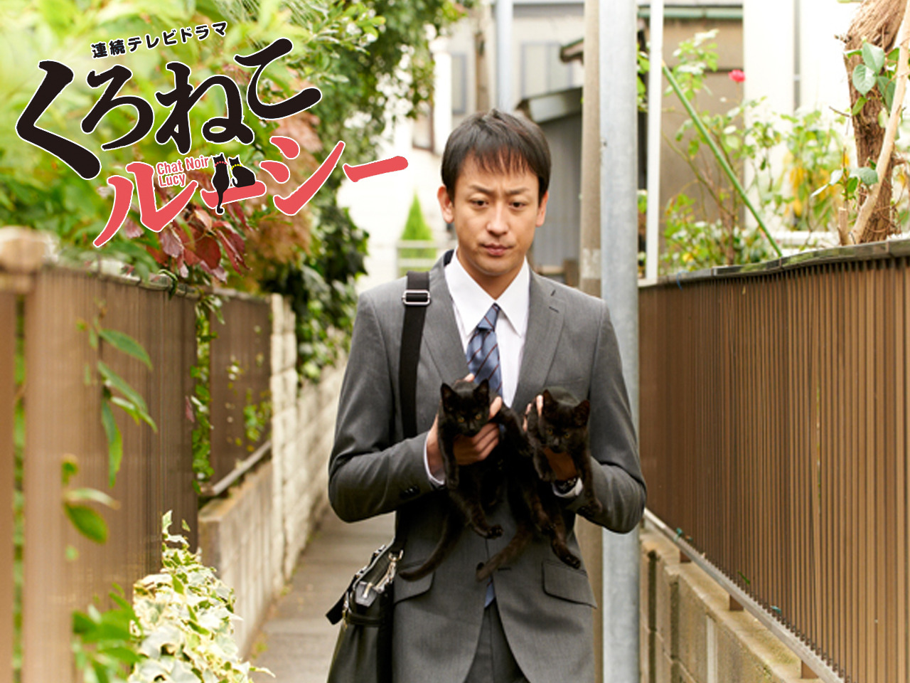 ドラマ版くろねこルーシーを観る | Prime Video