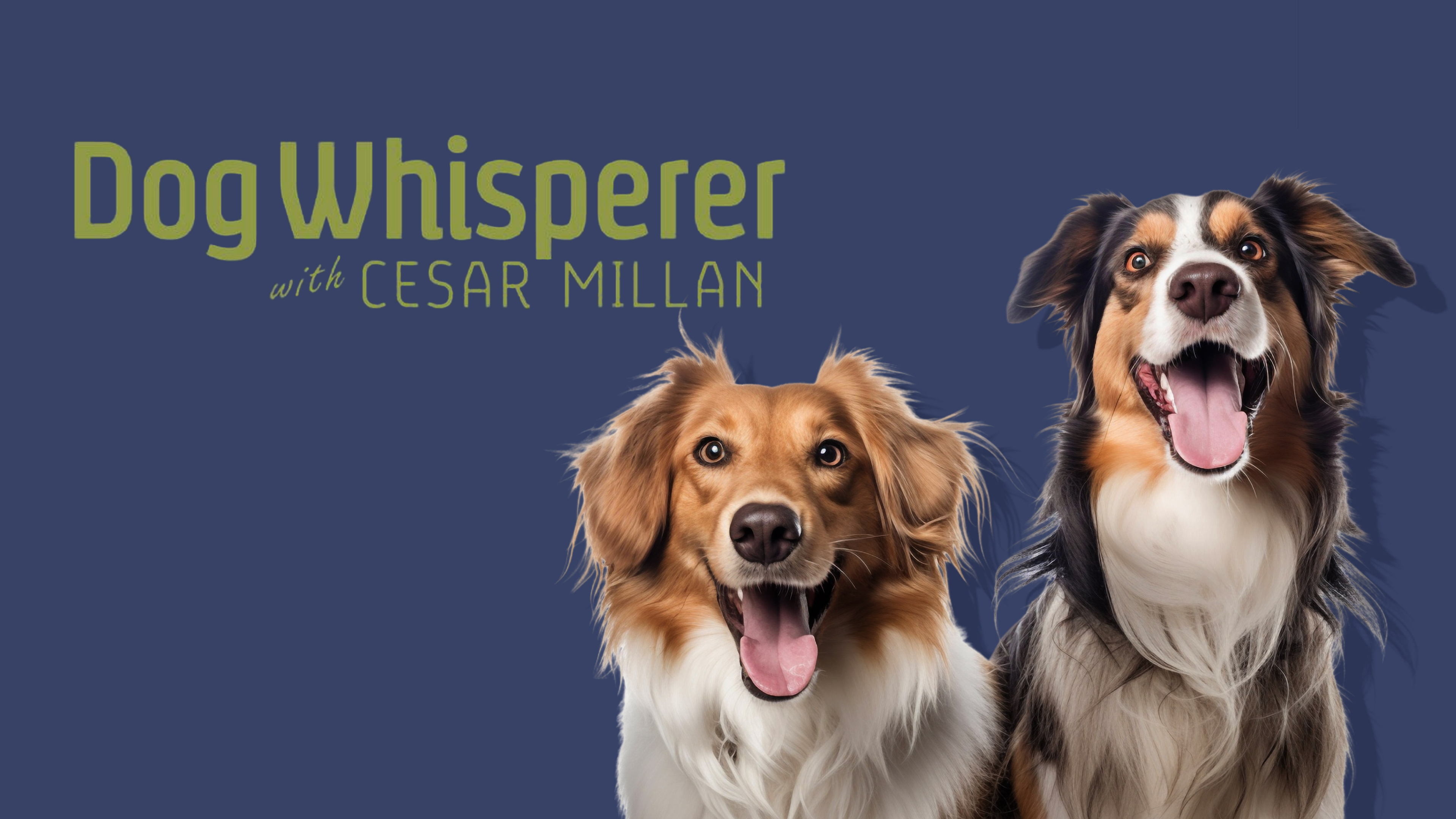 b448b64a06d8ebefc6fb2060b5c06c