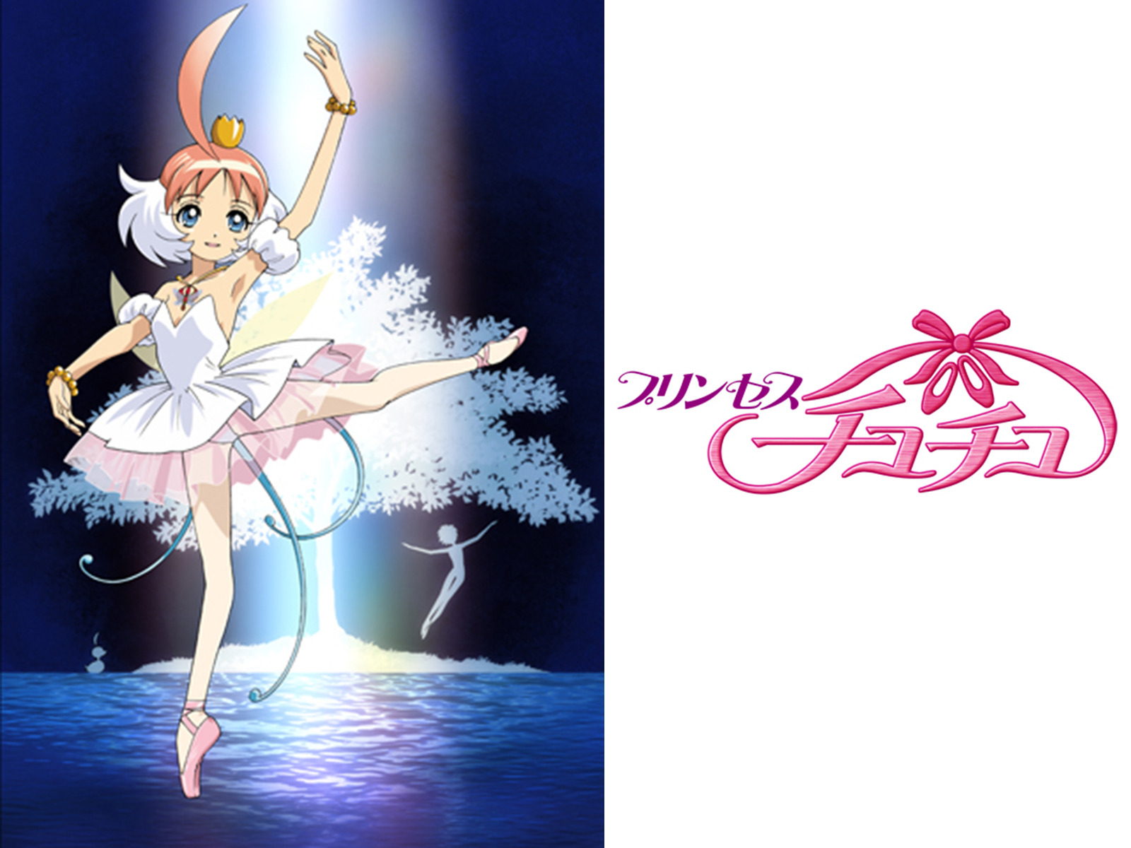 Amazon.co.jp: プリンセスチュチュを観る | Prime Video