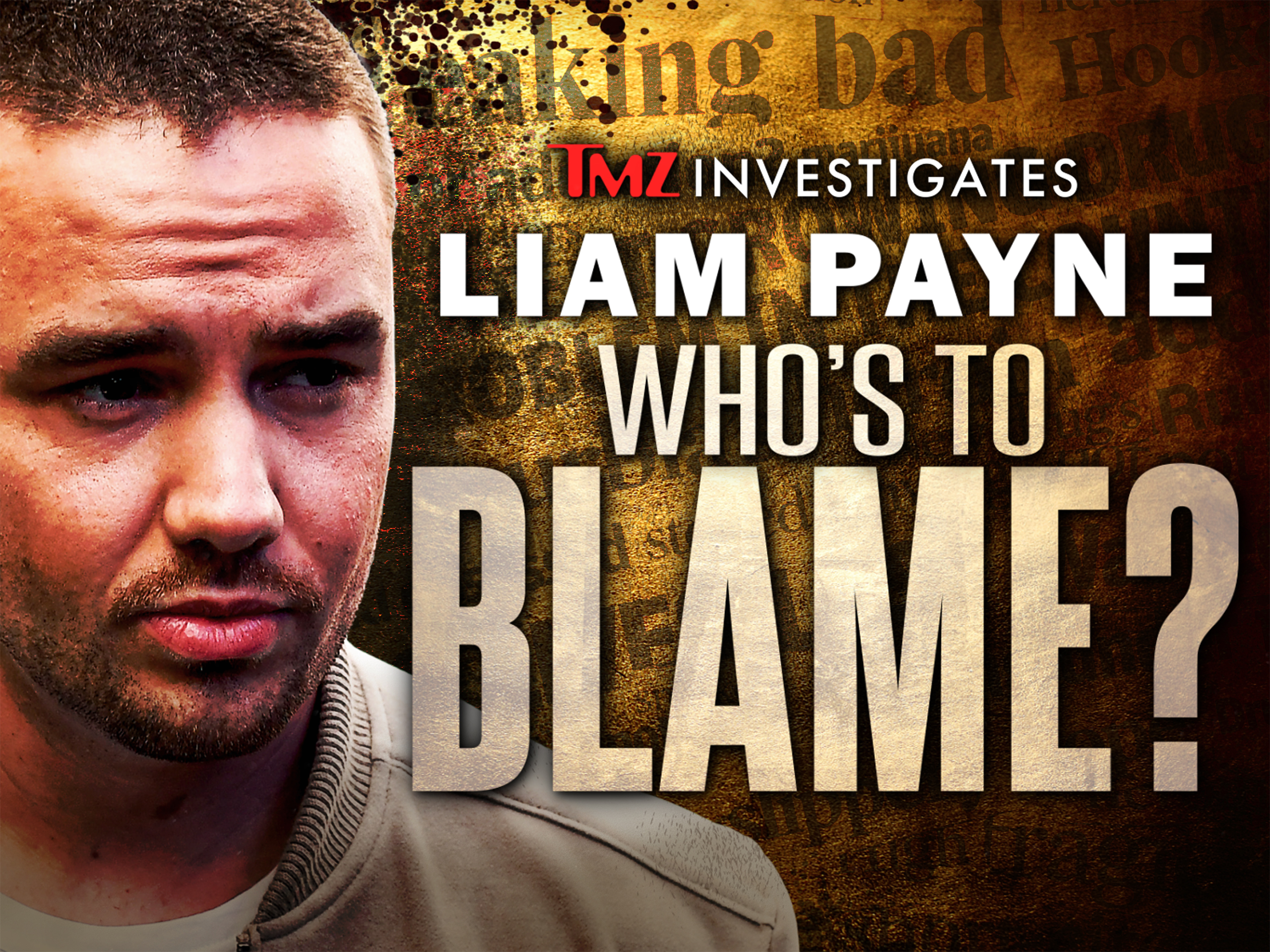 prime-video-tmz-investigates-liam-payne-who-s-to-blame-season-1