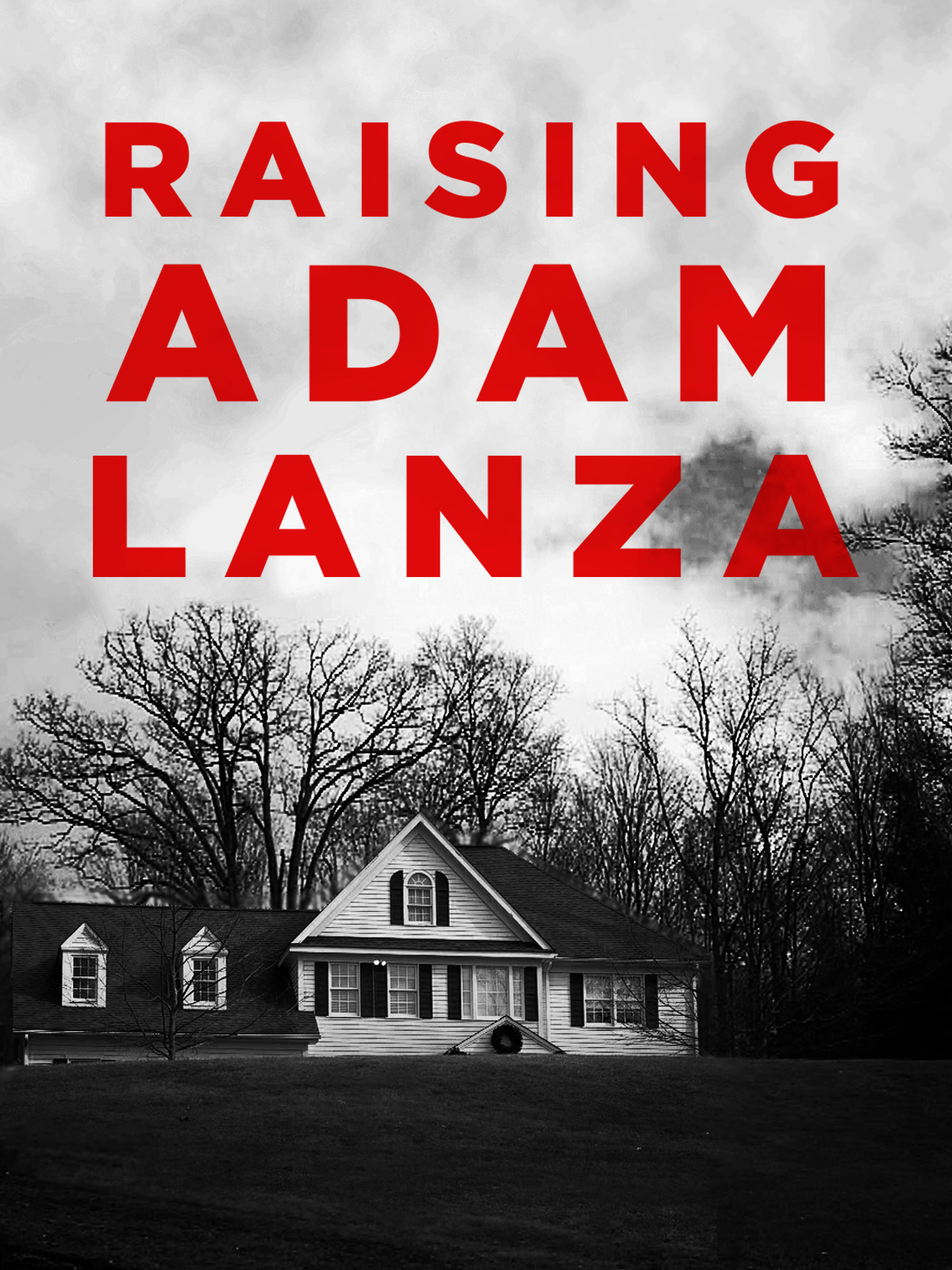 その他 Frontline: Raising Adam Lanza [DVD] Raising Adam Lanza - Jonathan Rissmeyer