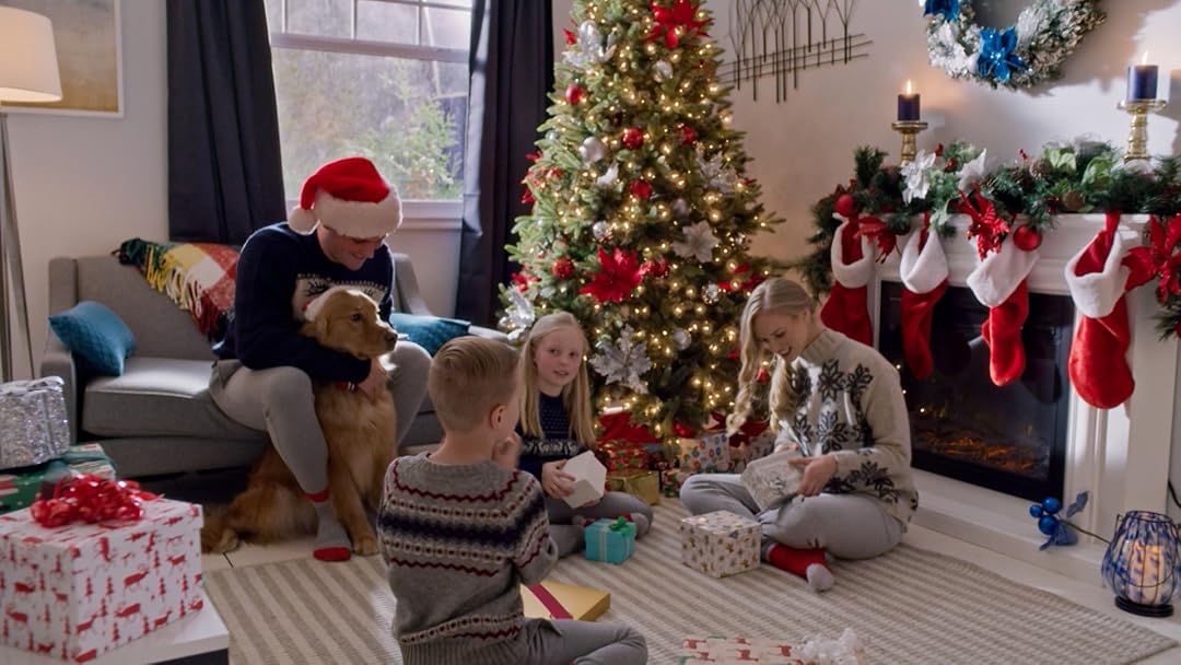 Picture A Perfect Christmas