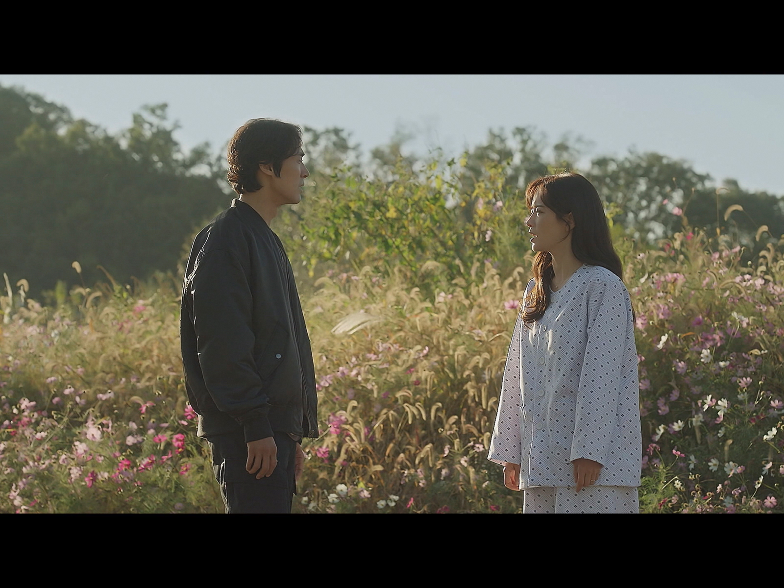 火の鳥-運命のいたずら- (字幕版)を観る | Prime Video