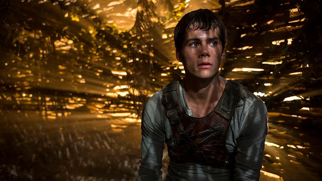 The Maze Runner
