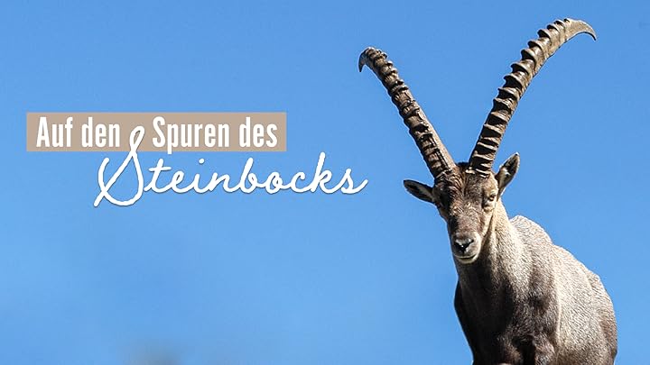 Amazon.de Kurt und seine Wölfe ansehen Prime Video