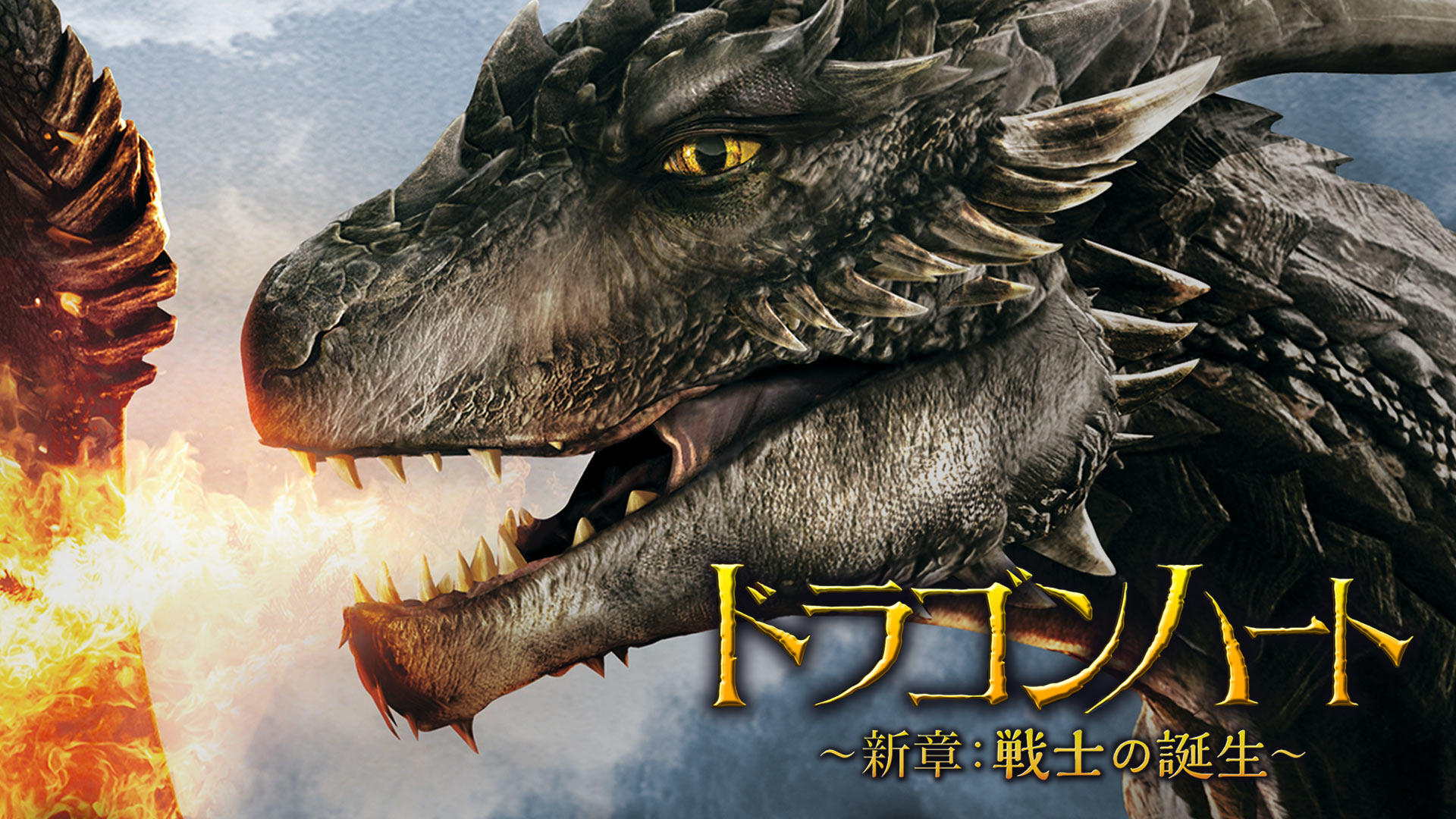 Amazon.co.jp: ドラゴンハート～新章：戦士の誕生～(字幕版)を