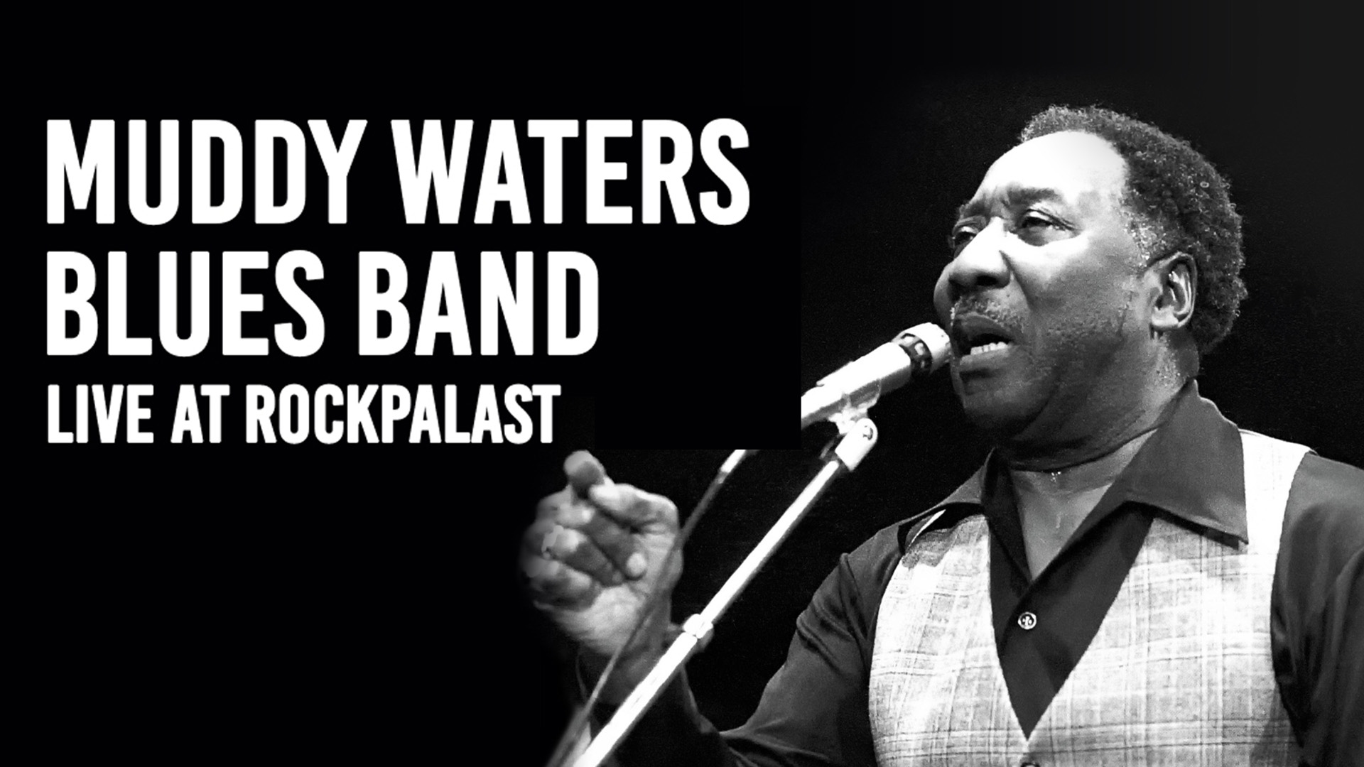 欧2LP Muddy Waters Live At Rockpalast MIG90783 MIG 未開封 /00520 Muddy Waters - Live At Rockpalast [Vinyl LP] - Alligator