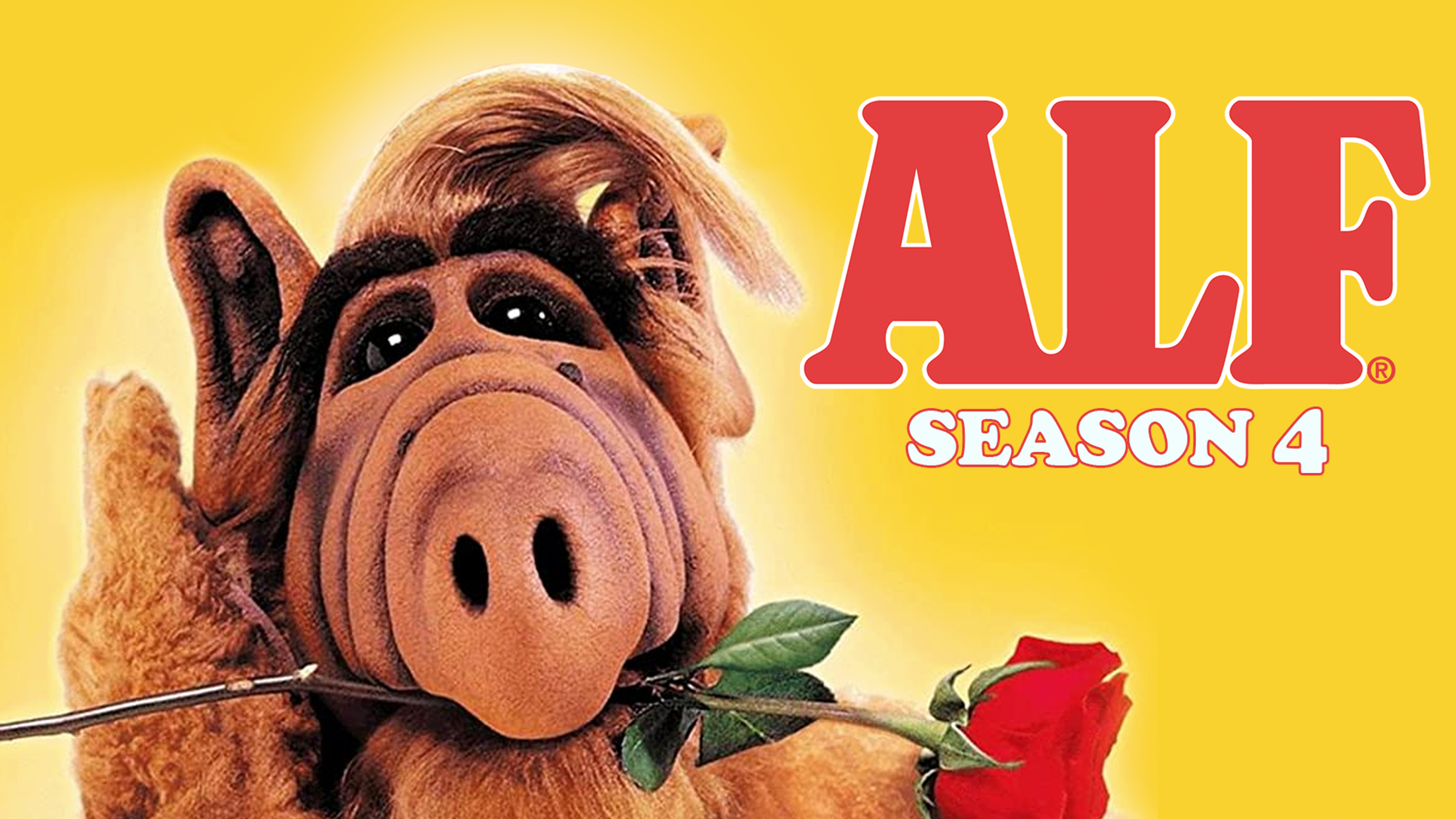 SJ SPECIAL ☆ MEET THE ALFEE The First Time Ever I Saw Your Face | ALF | FULL Episode: S4