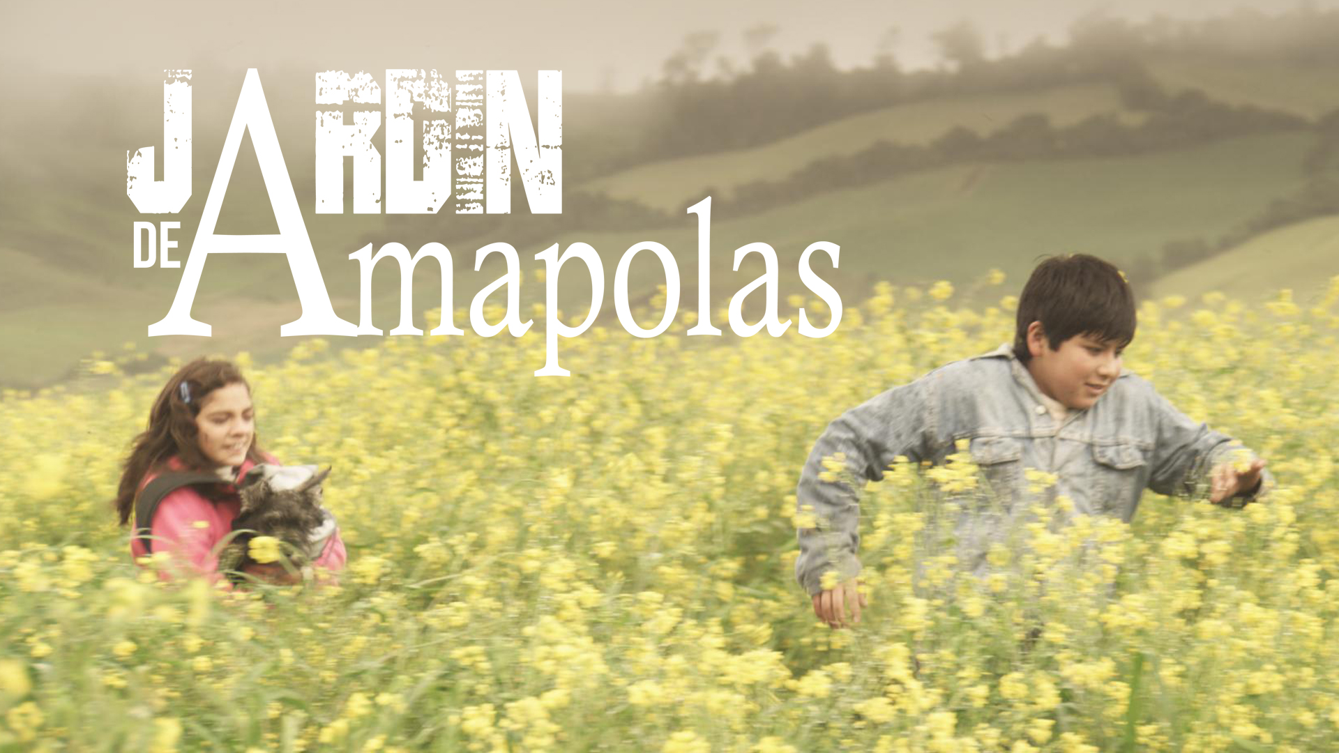 Campo de Amapolas