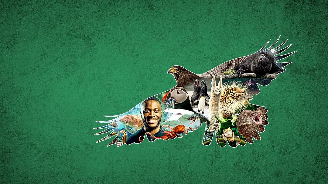 Impossible Animals