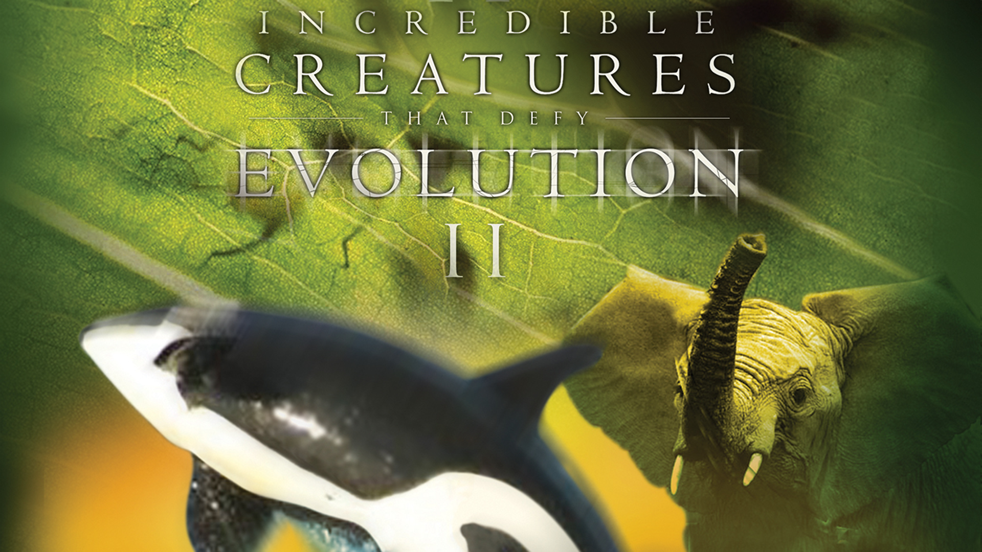 Watch Incredible Creatures That Defy Evolution I | Prime Video
