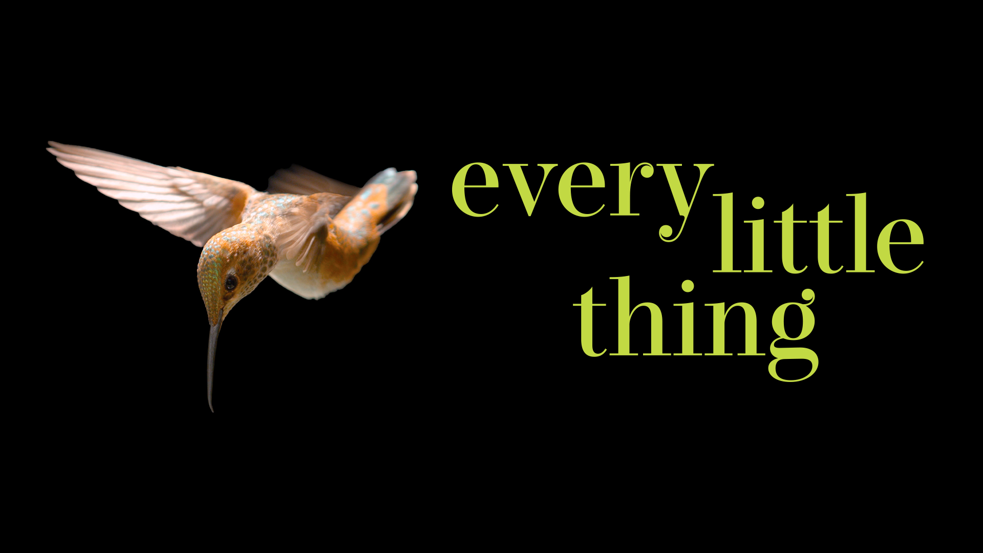 Watch Every Little Thing | Prime Video